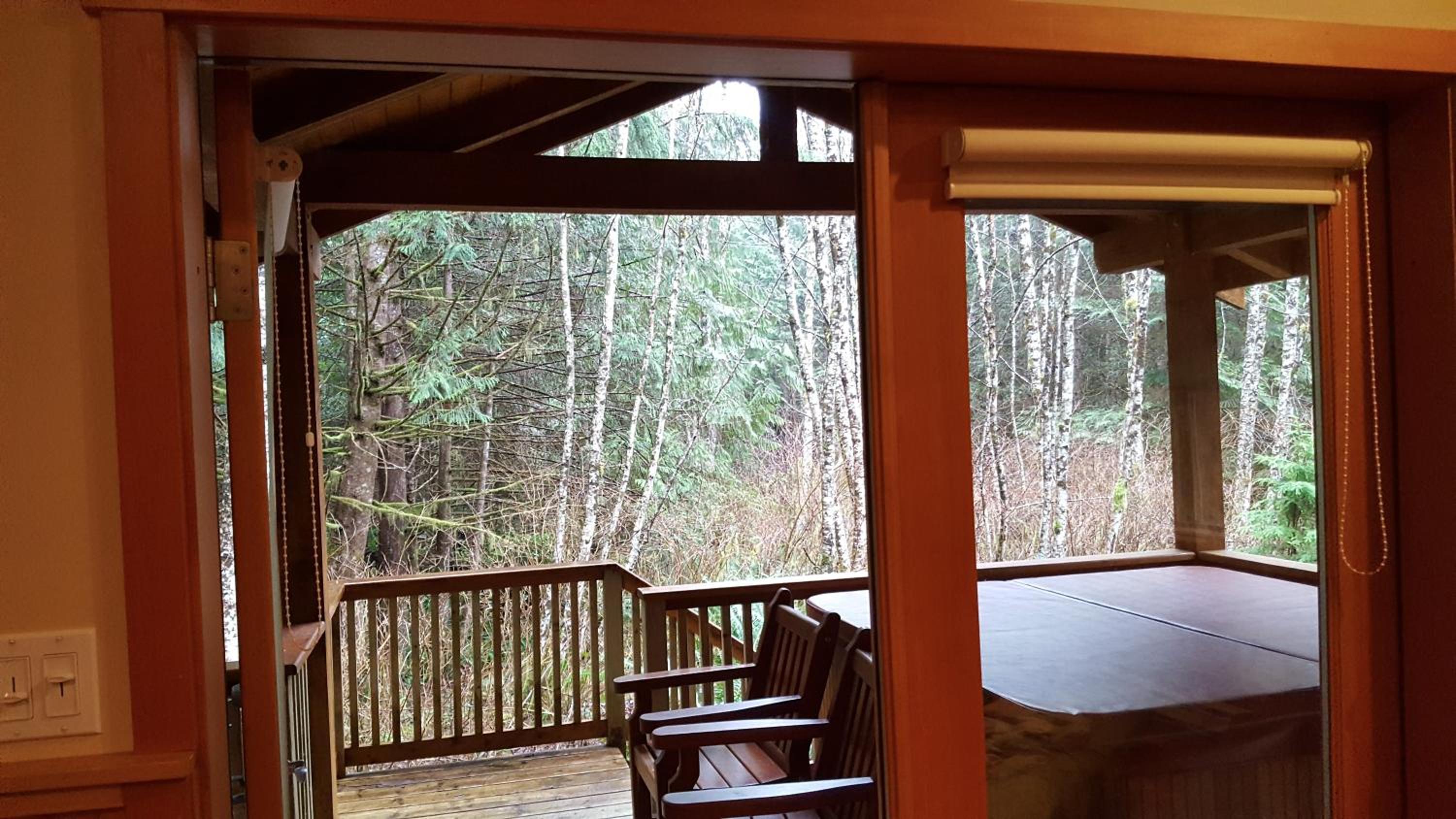 Evergreen Forest Cabins