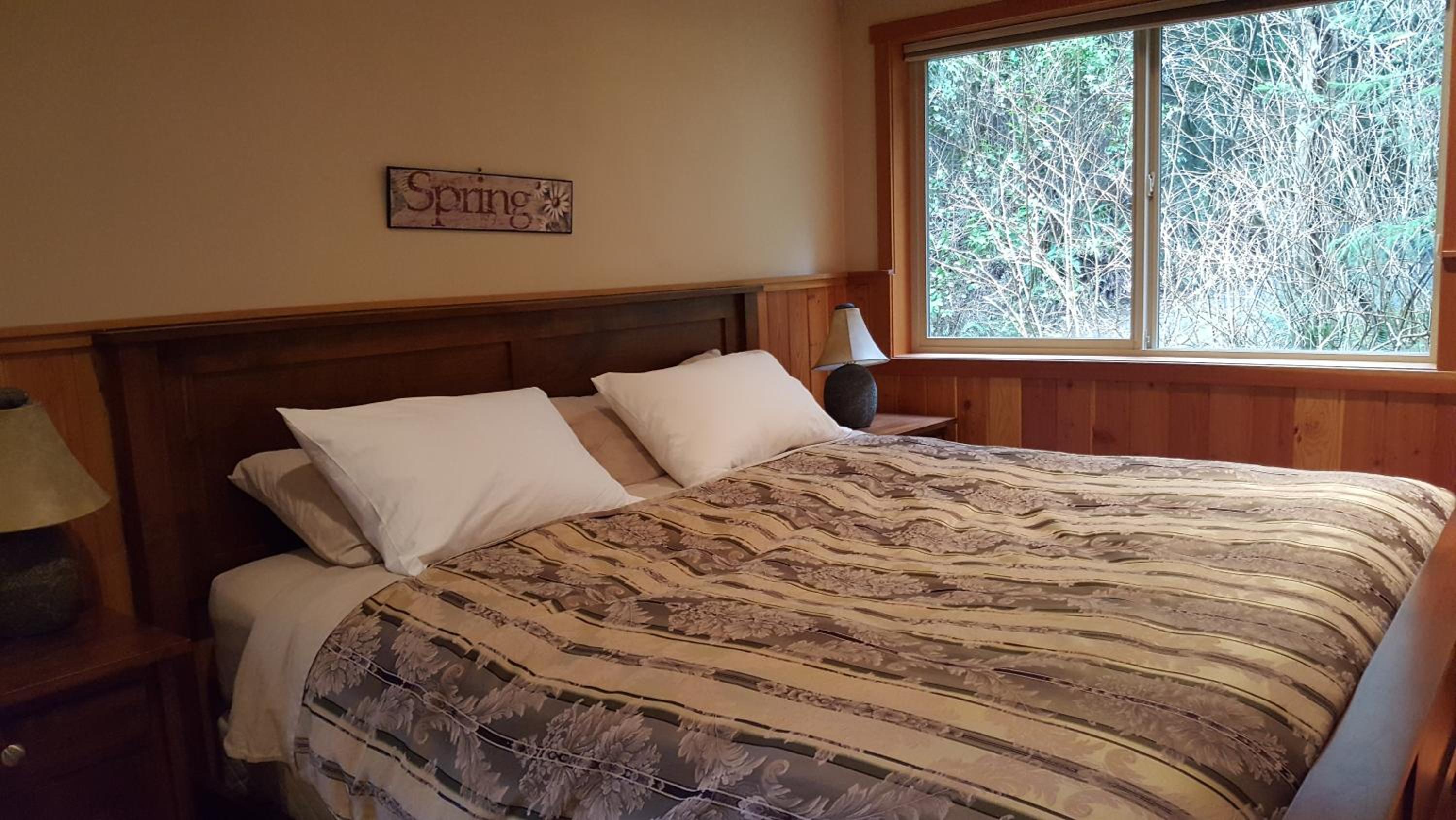 Evergreen Forest Cabins