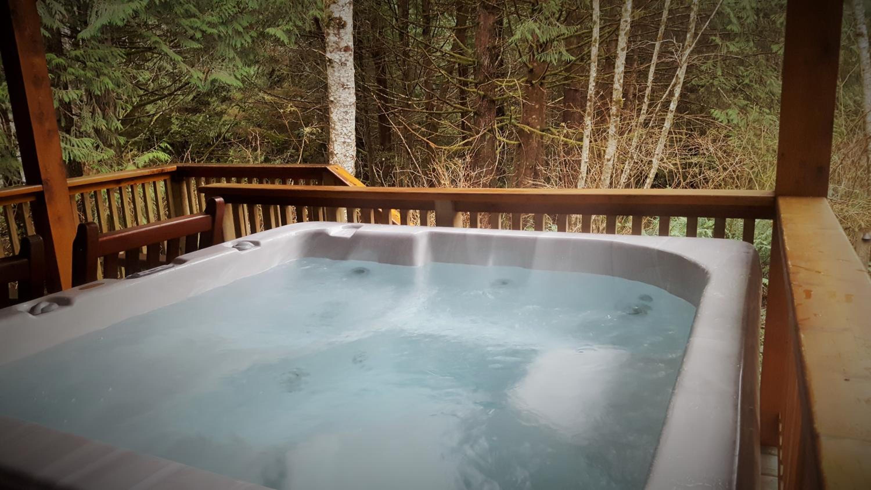 Evergreen Forest Cabins