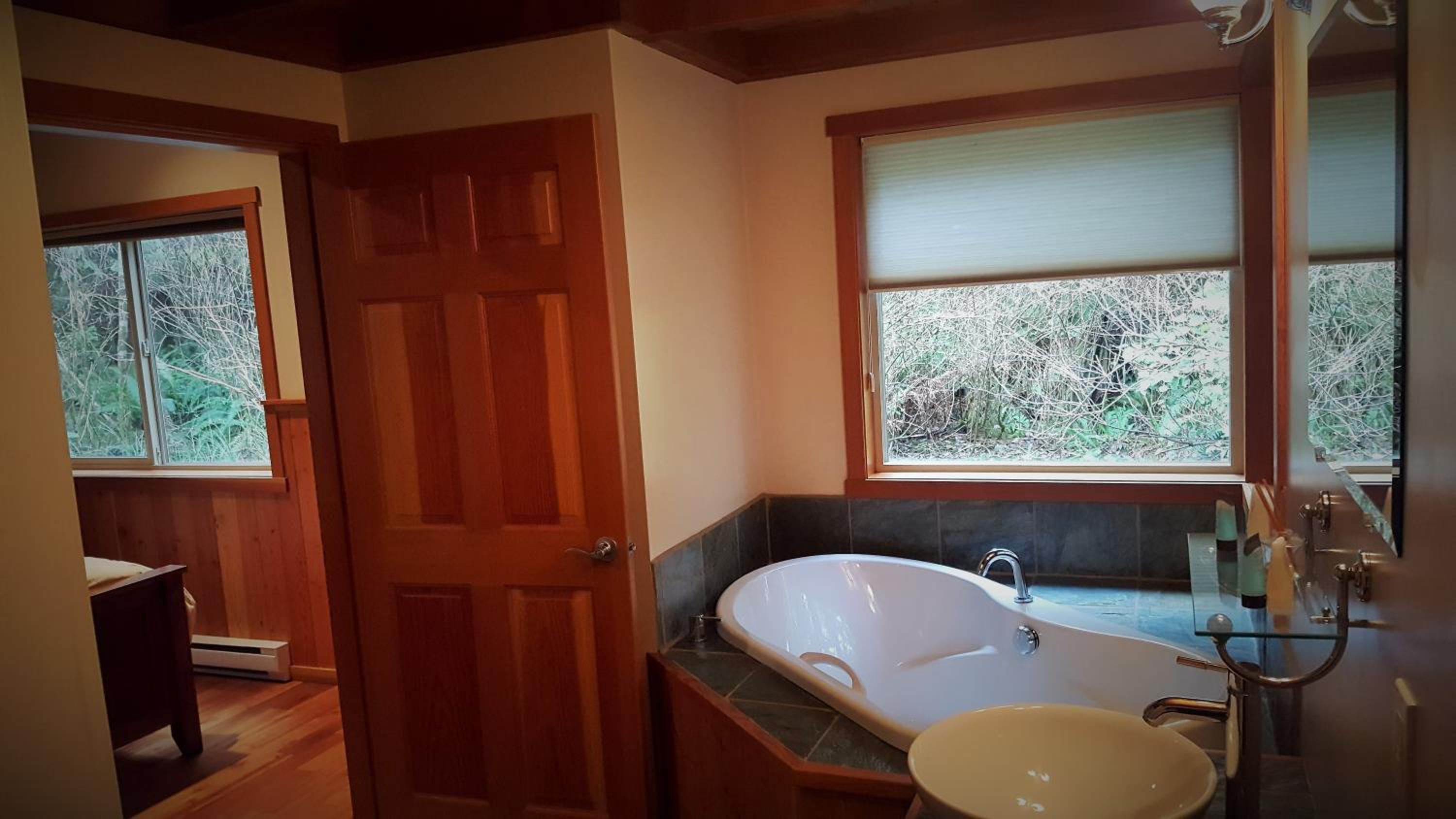 Evergreen Forest Cabins