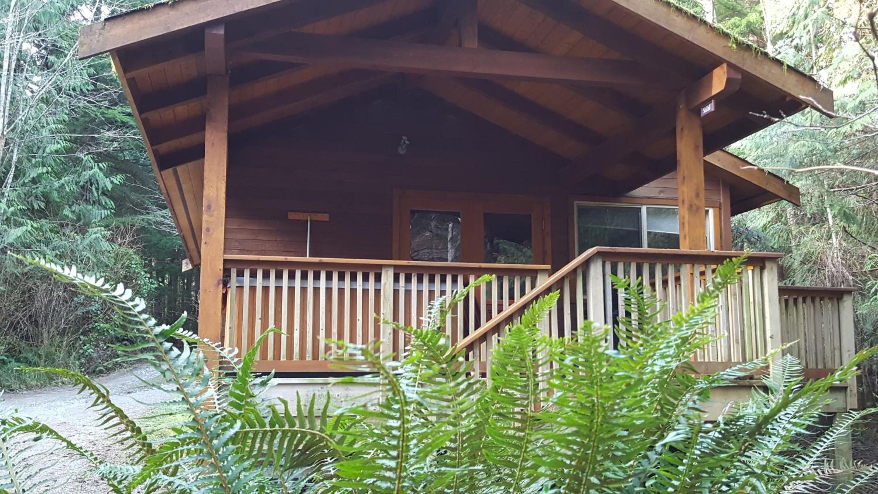 Evergreen Forest Cabins