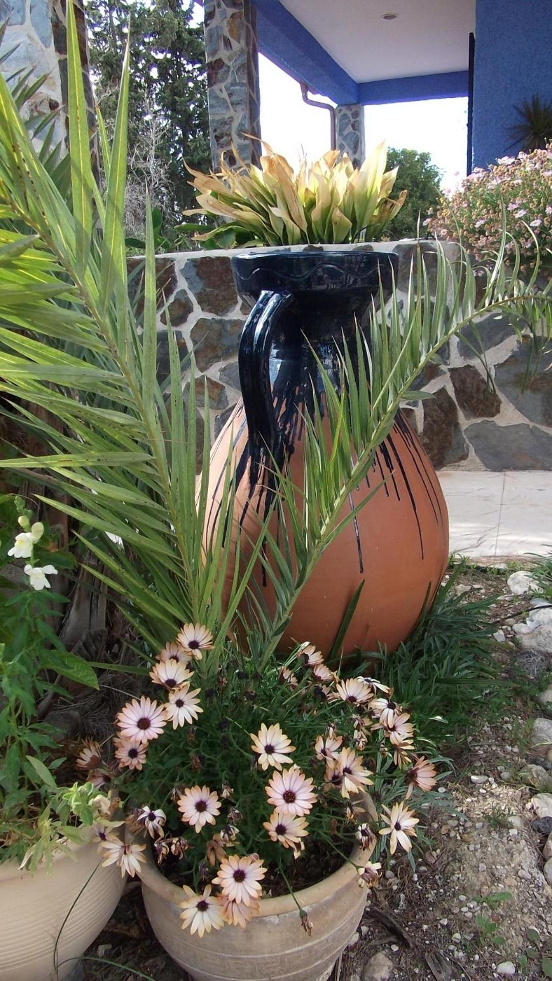Casa Rural Mi Campo