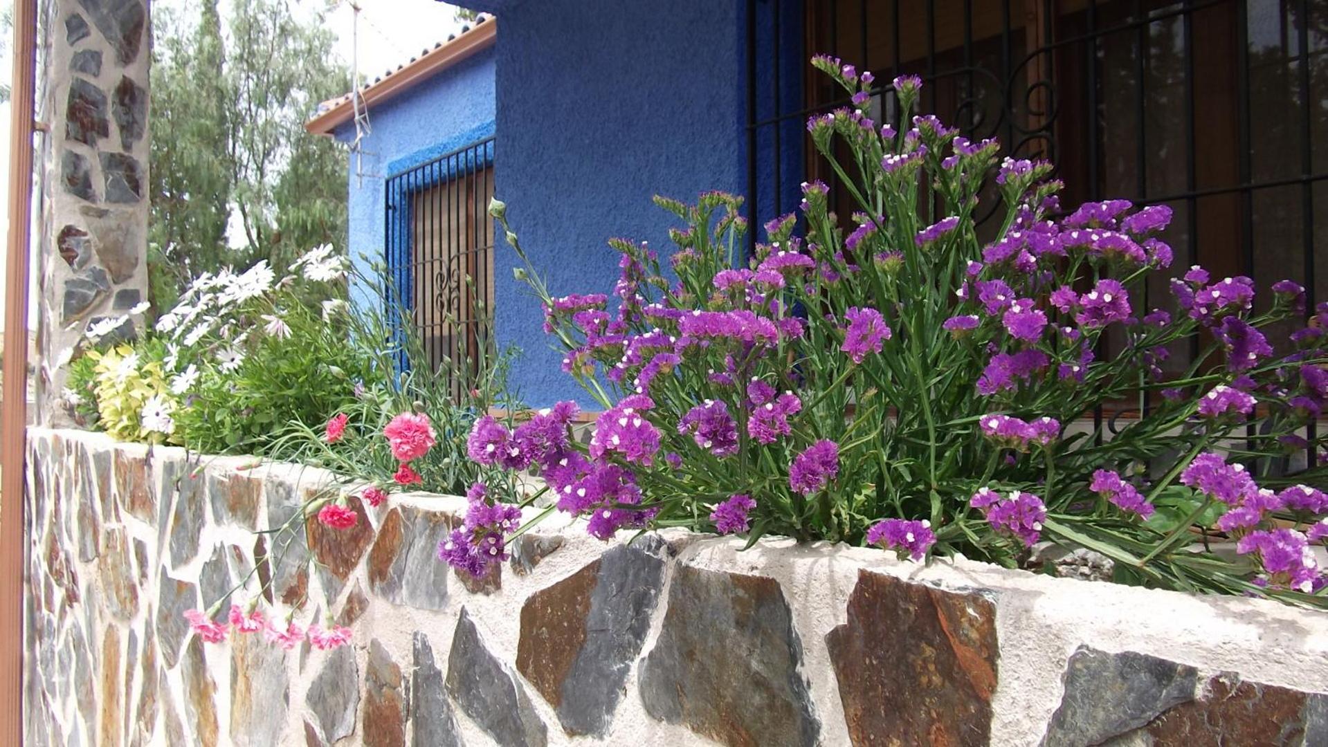 Casa Rural Mi Campo