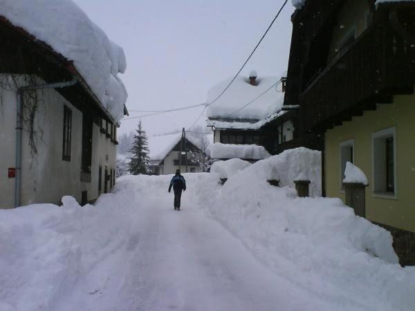 Photo 51
