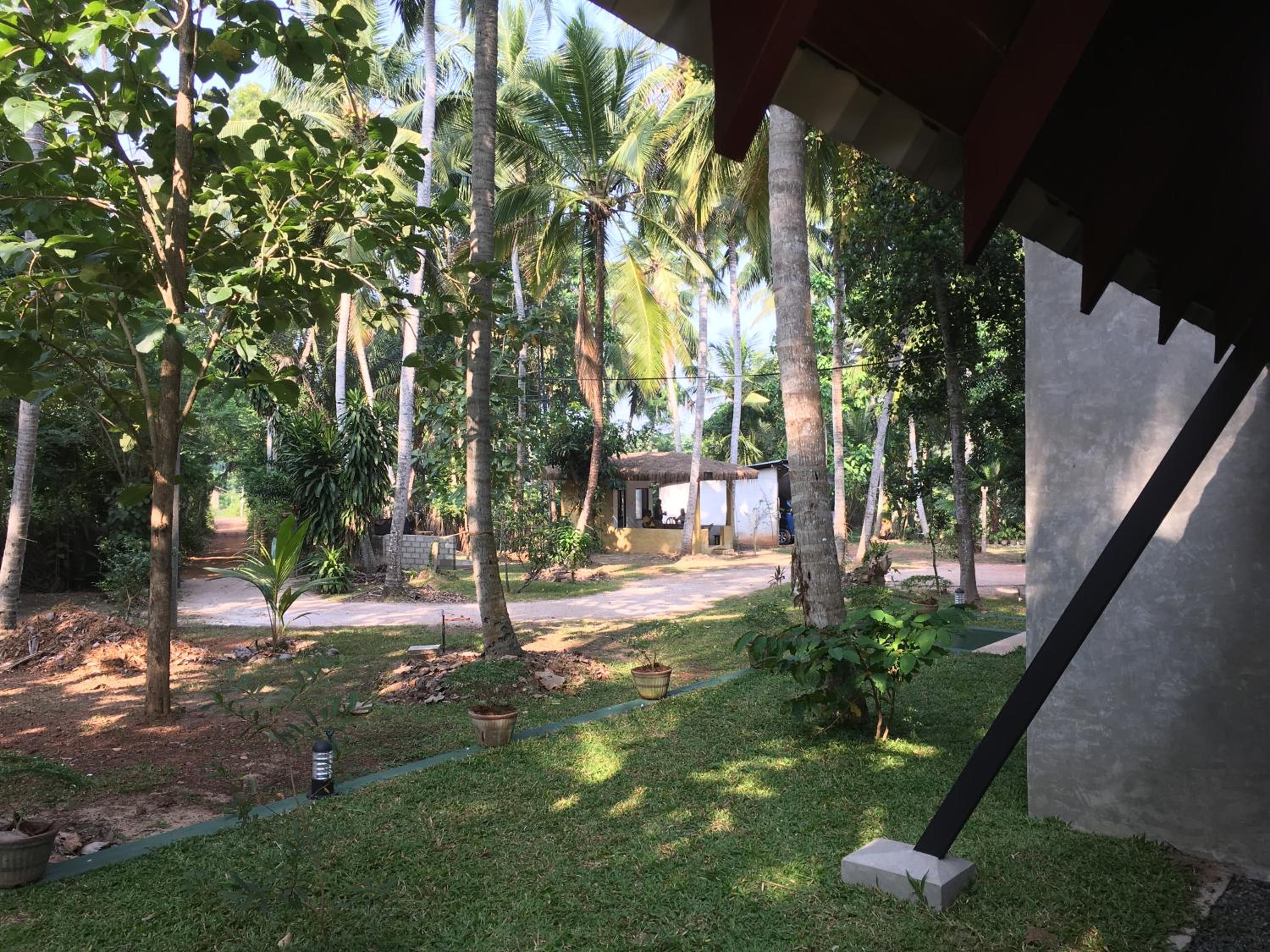 Photo 12