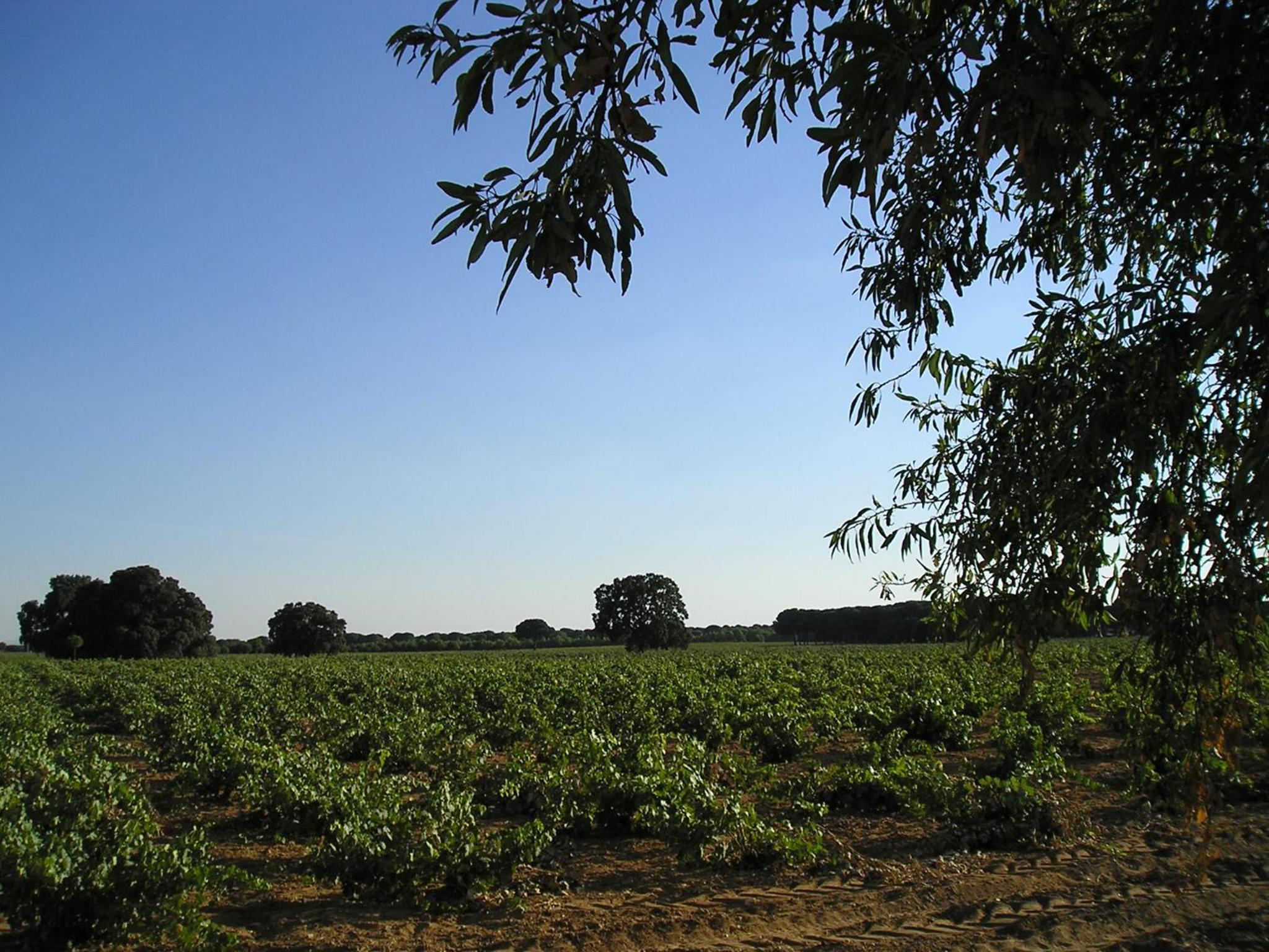 Casa Rural La Navarra