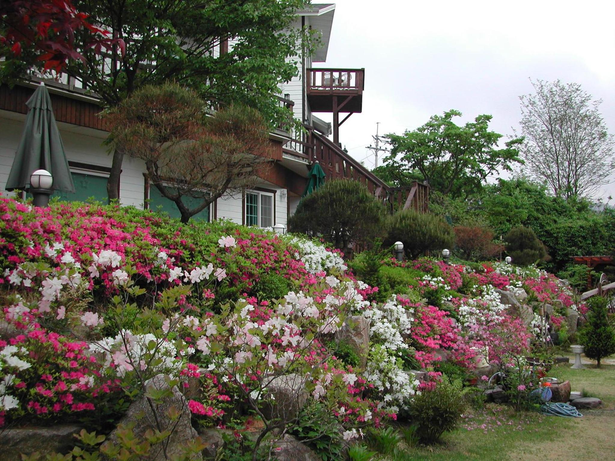 Photo 41