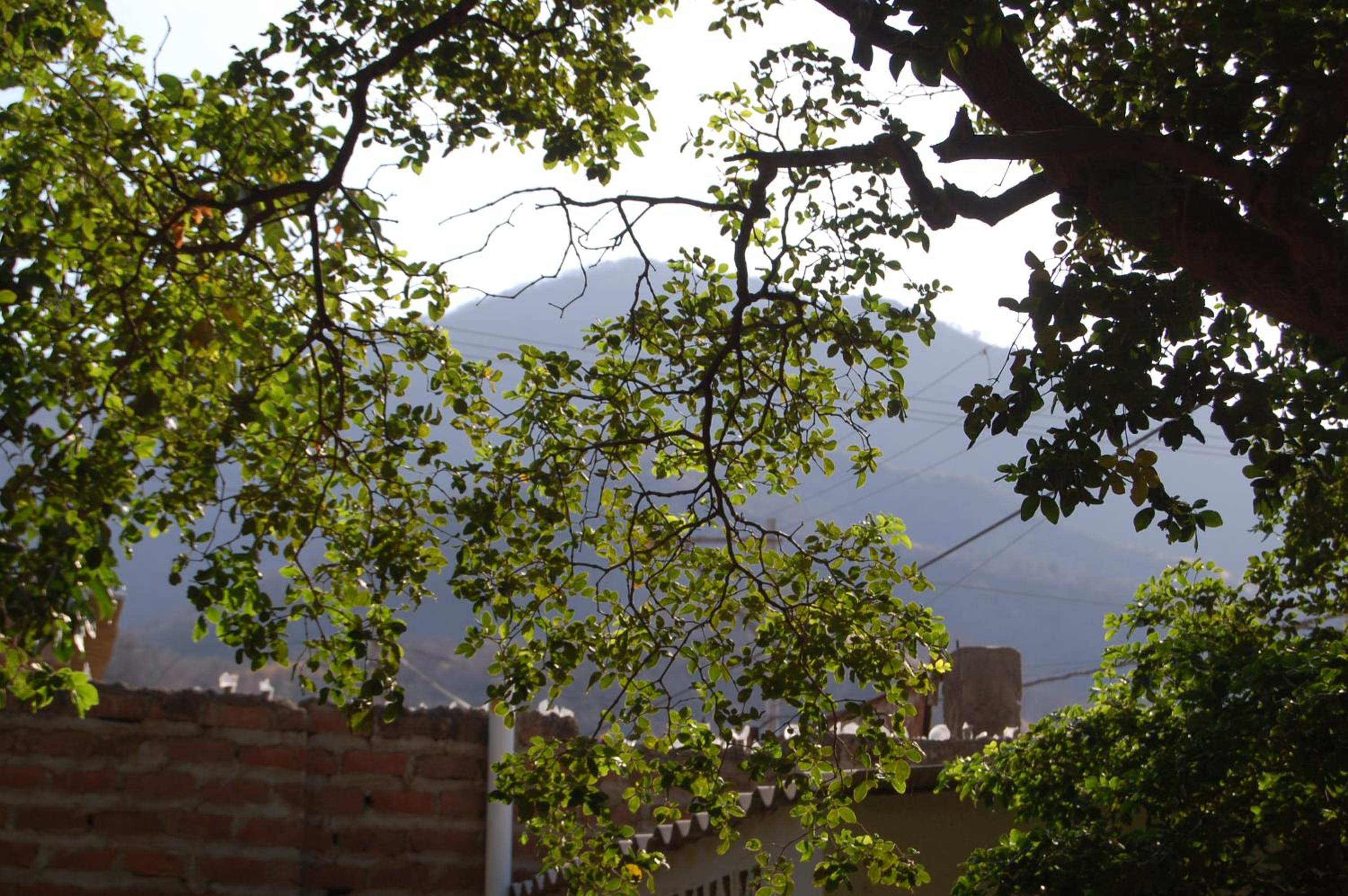 Casa Bella Mya
