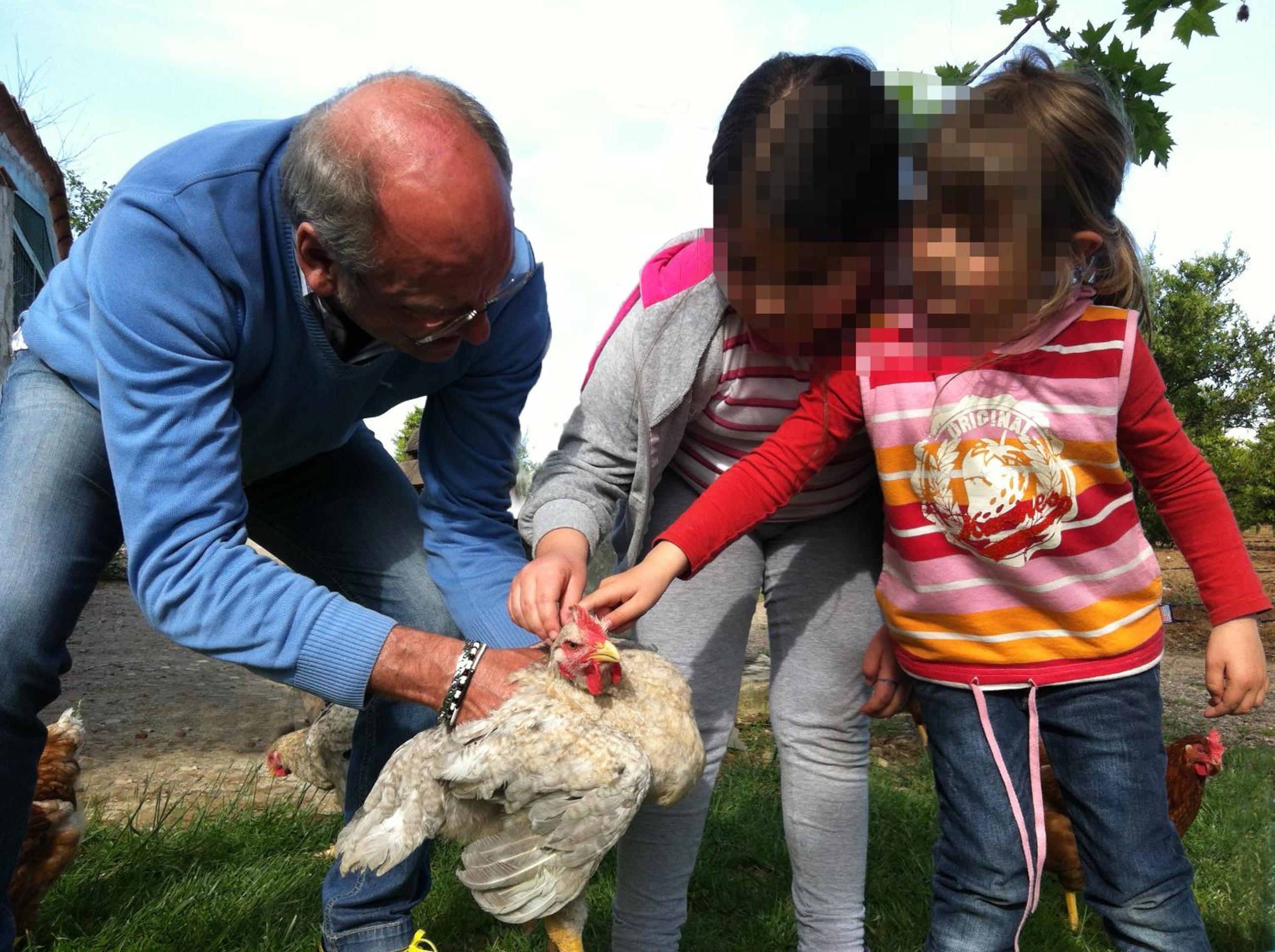 Agriturismo La Stornara, Petfriendly & EV Friendly