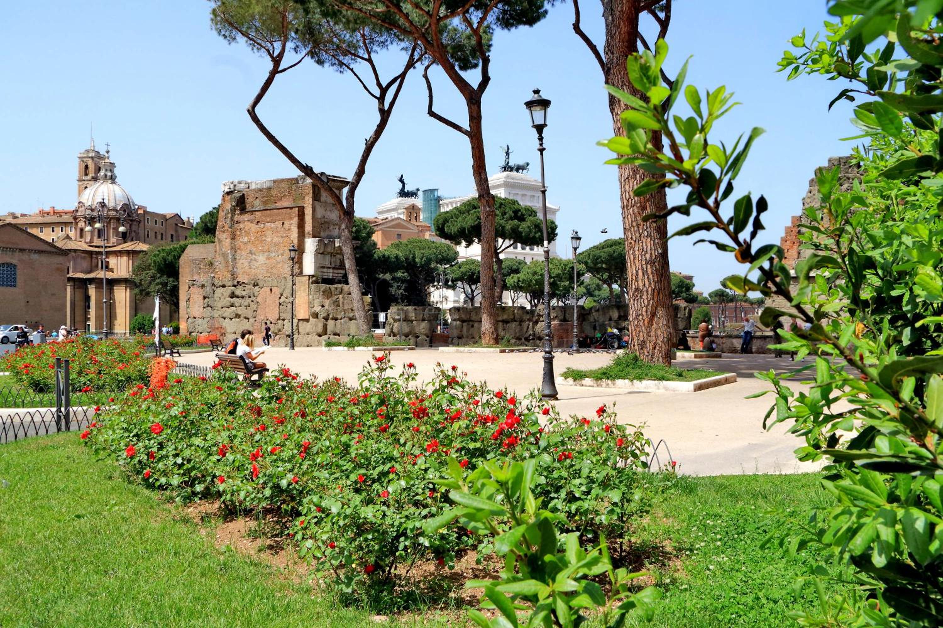Design Apartment Paulina 300 mt from Colosseum