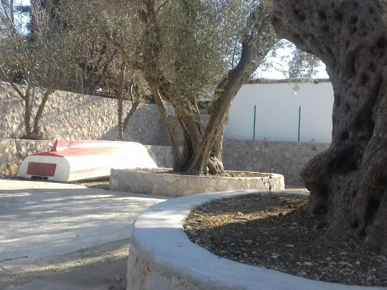 Apartman Nikocevic view 3