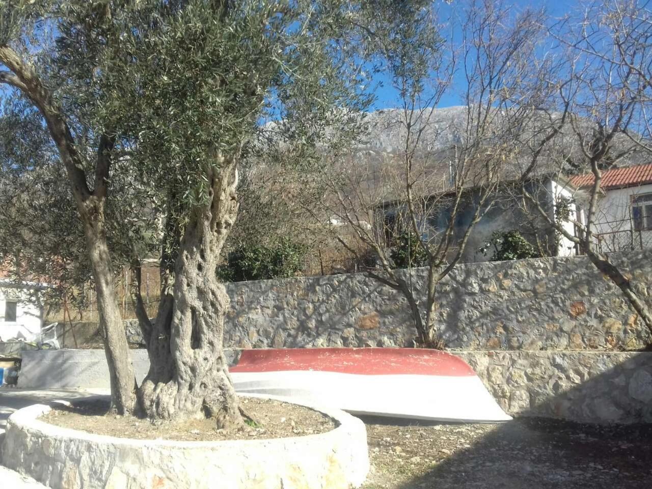 Apartman Nikocevic view 4