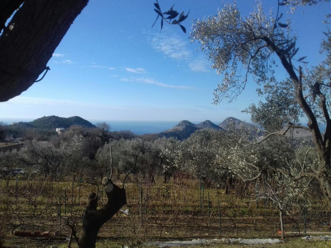 Apartman Nikocevic view 5