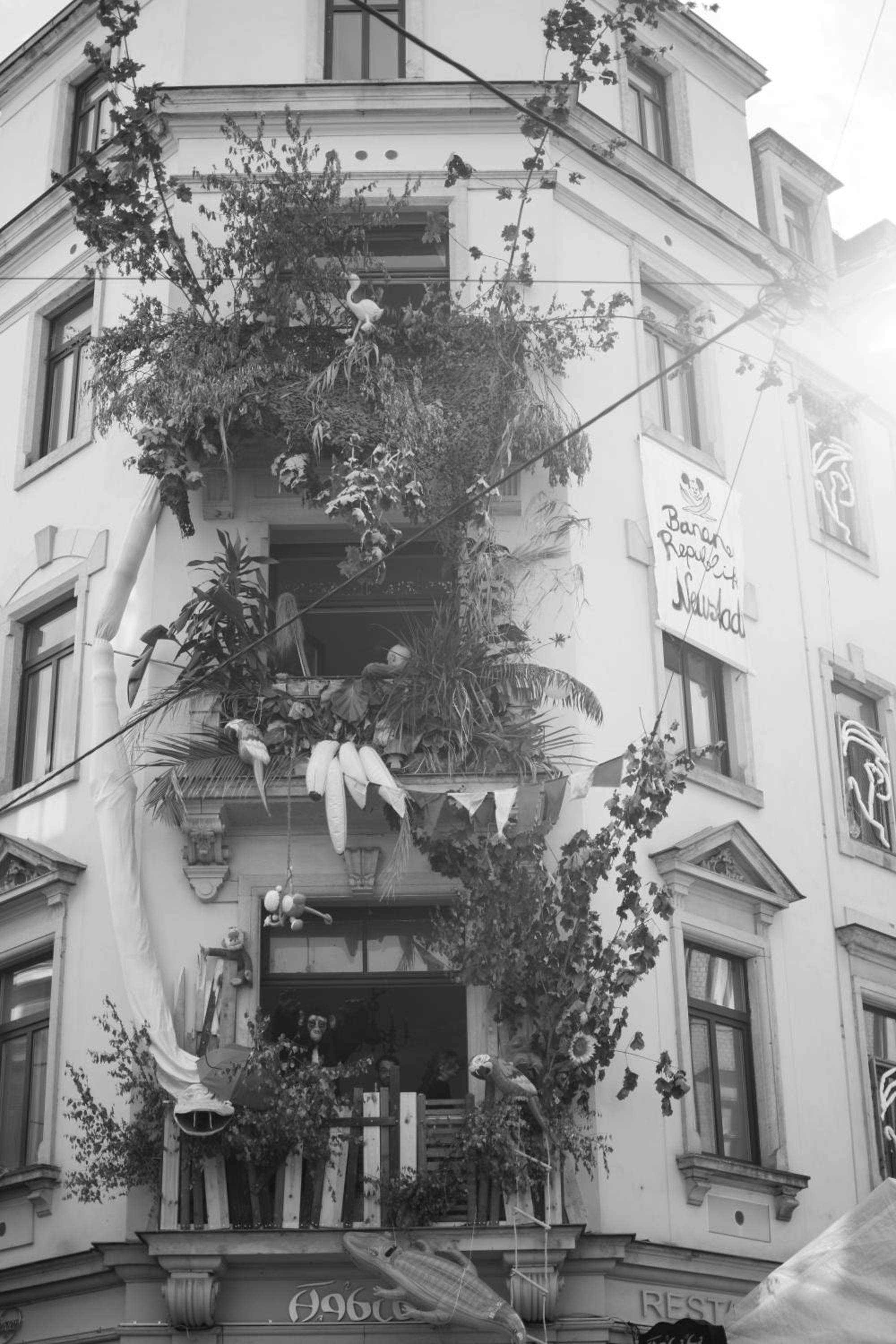 Mirabelle - Wohnen in der Dresdner Neustadt view 4