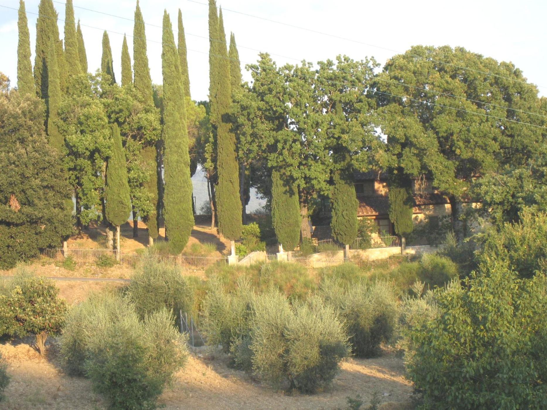 Photo 27
