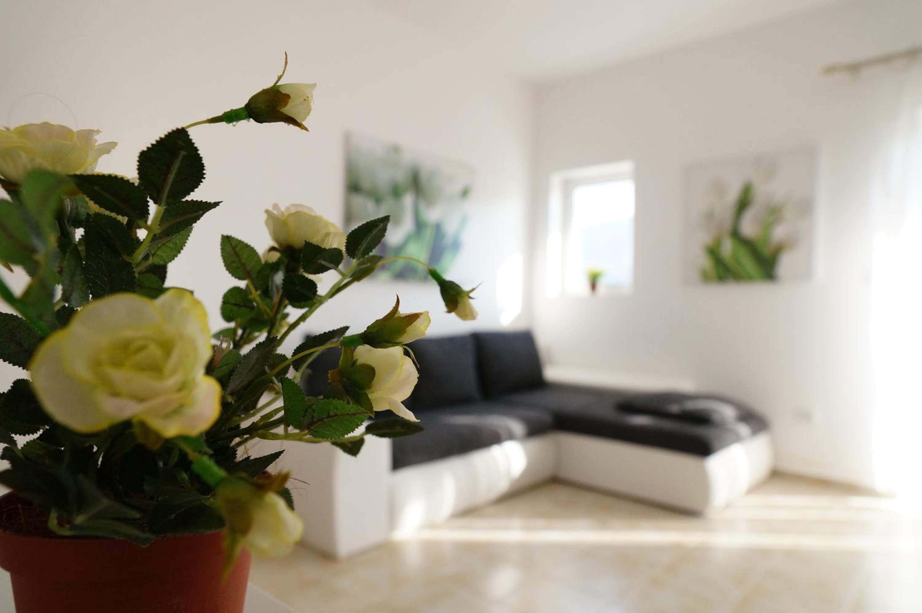 Apartment Begonia of Kumbor view 4