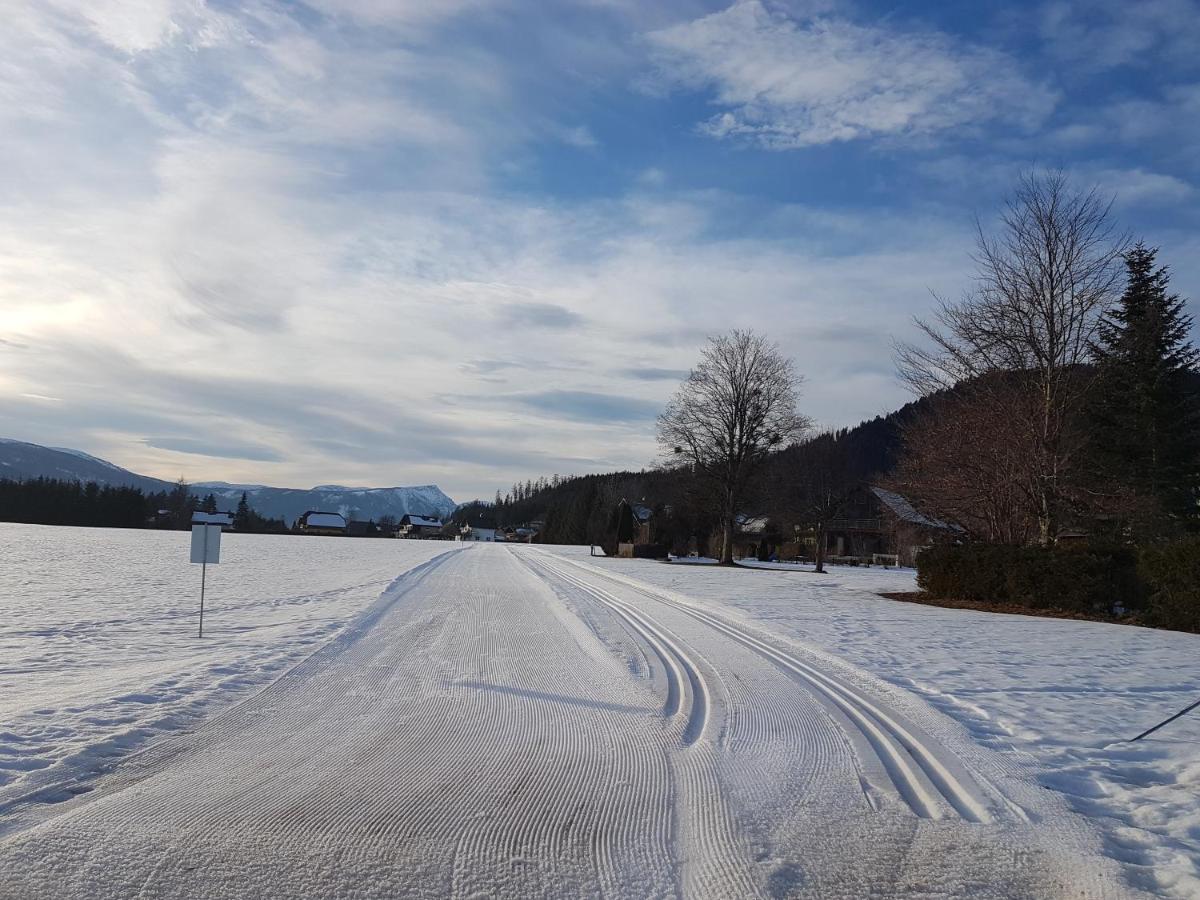 Nina´s Appartement Bad Mitterndorf