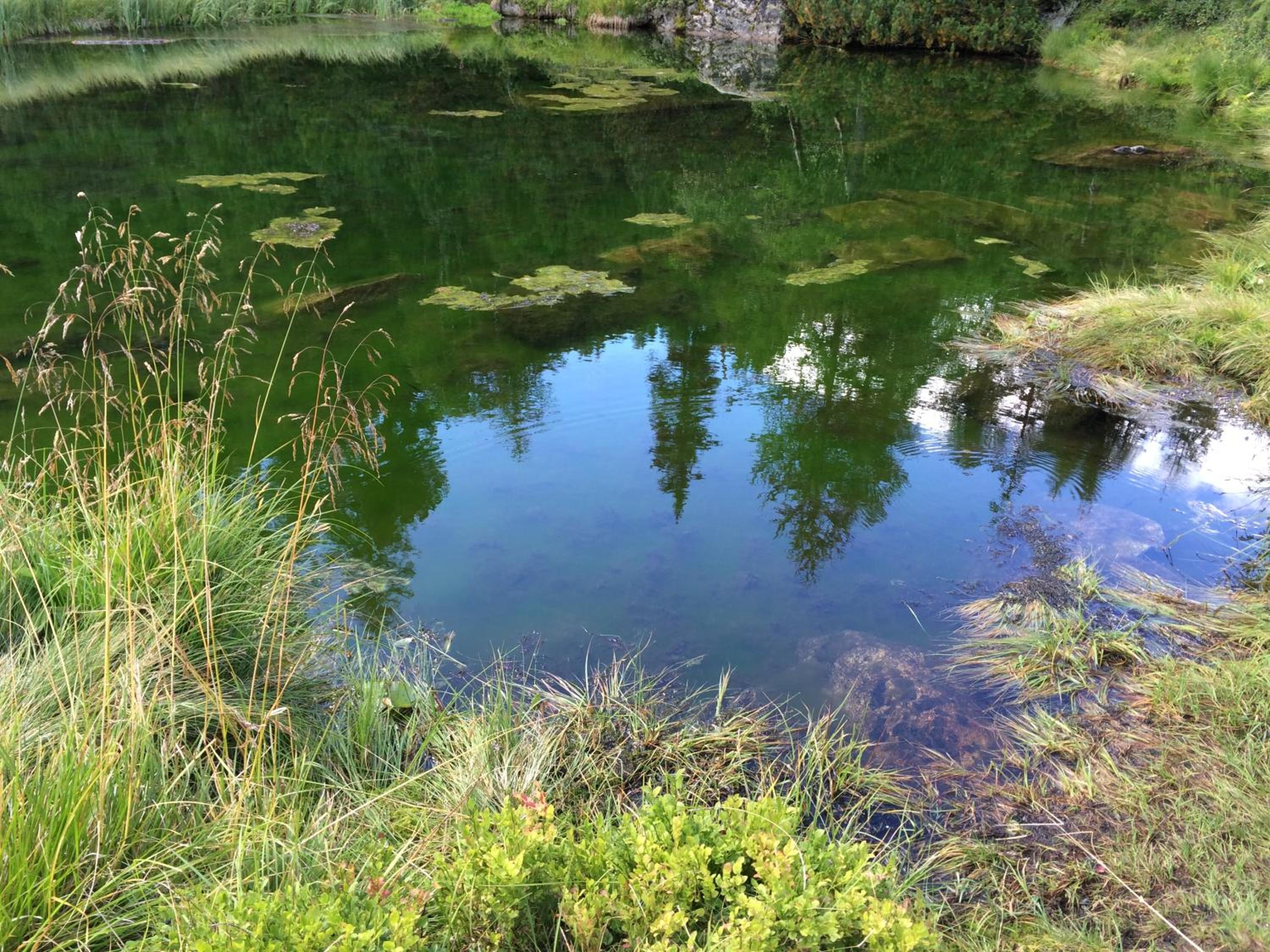 Photo 10