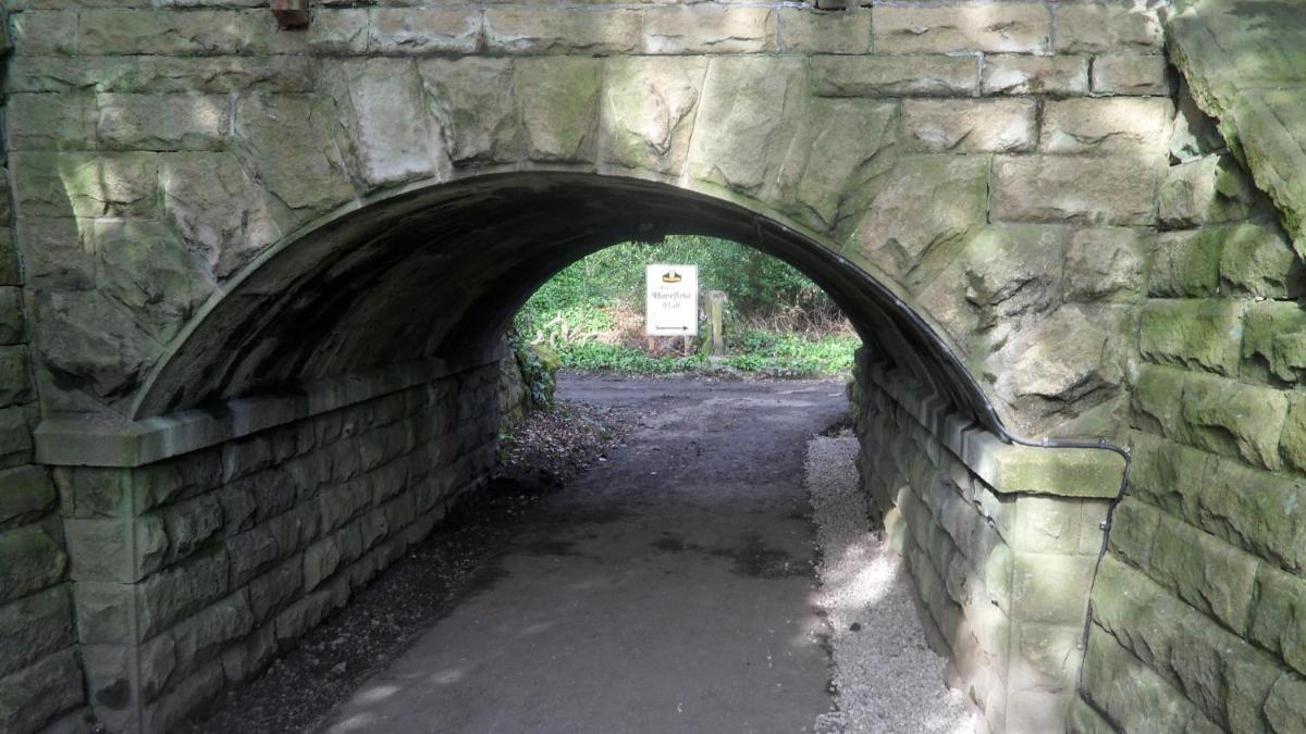 Photo 27