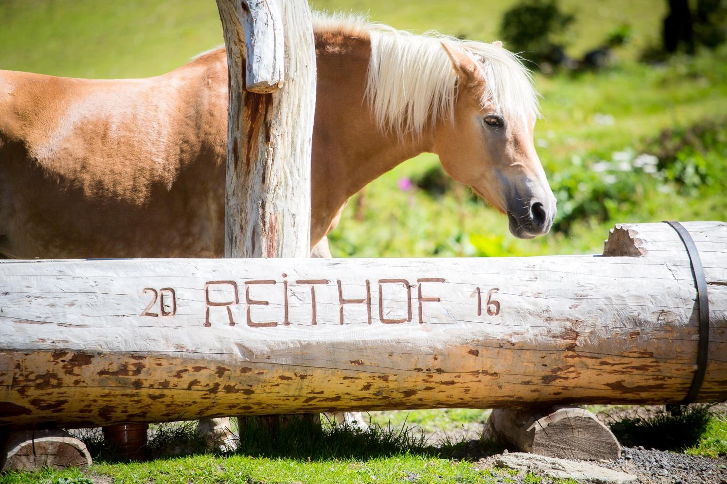 Almhof-Reithof Pitztal