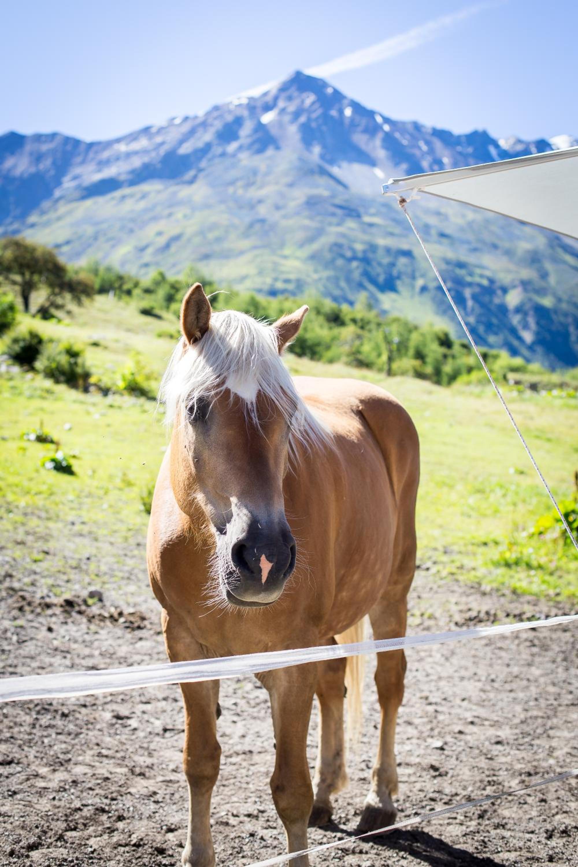 Almhof-Reithof Pitztal