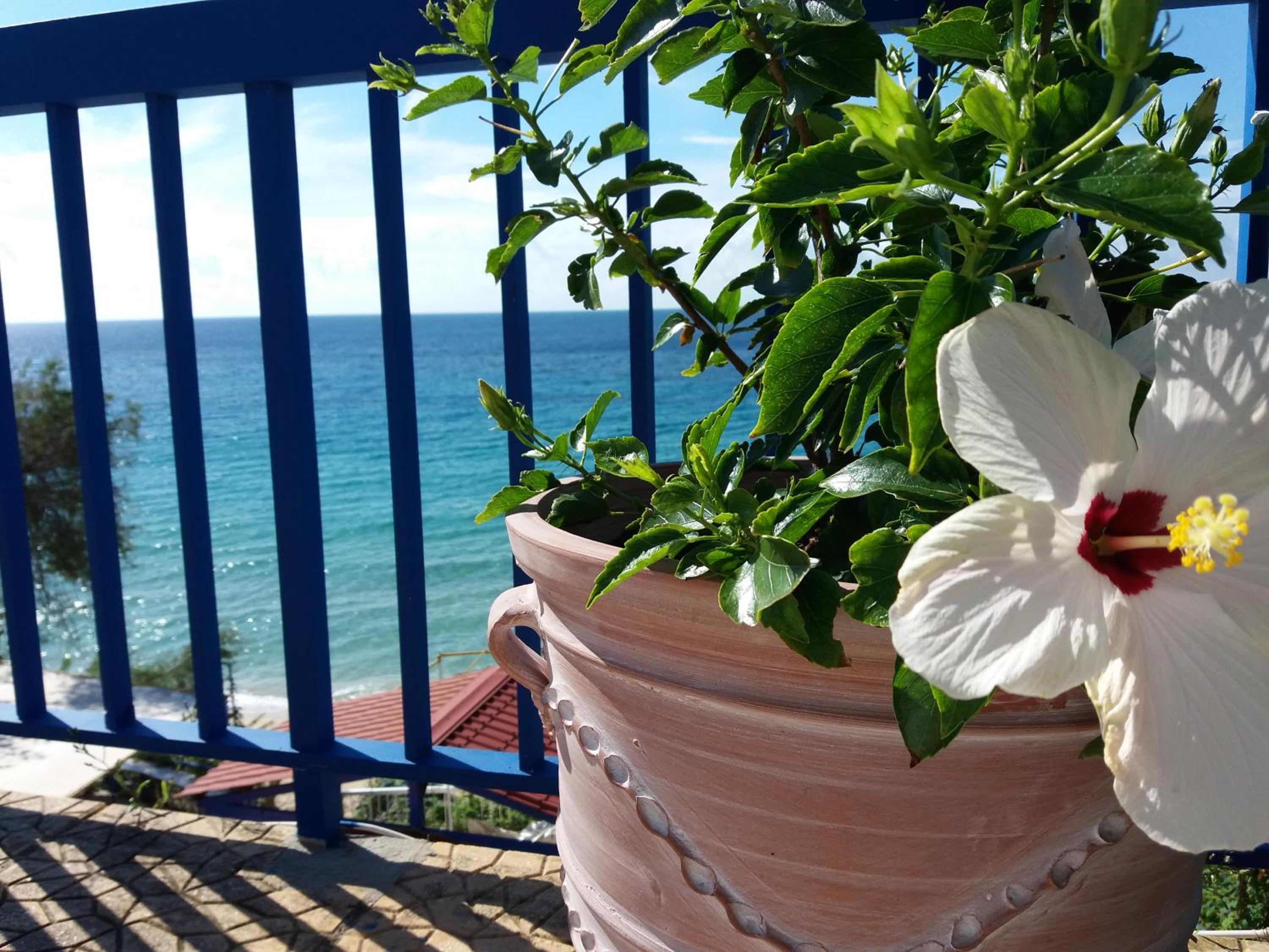 Constantinos Apartments photo 5