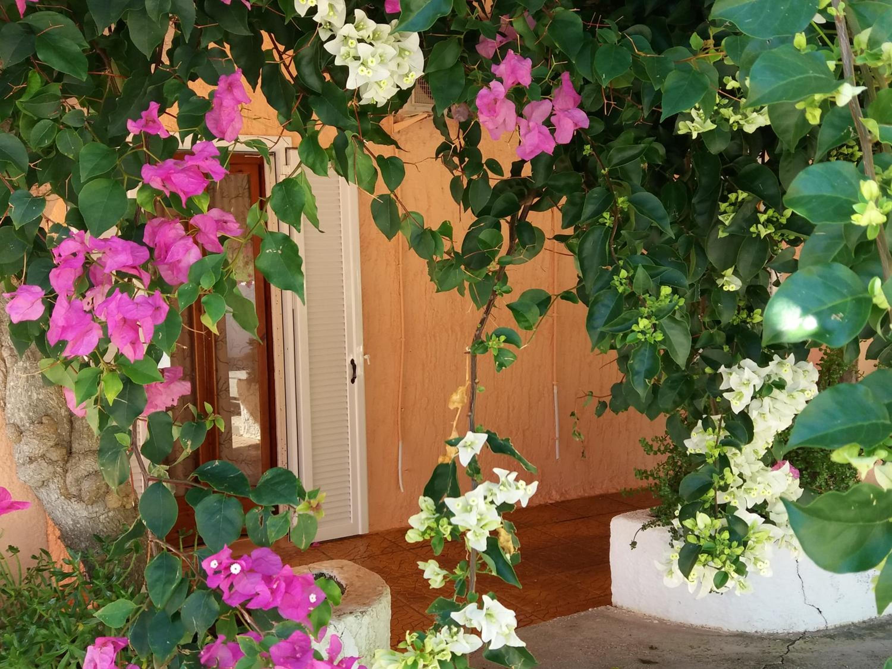 Constantinos Apartments photo 4