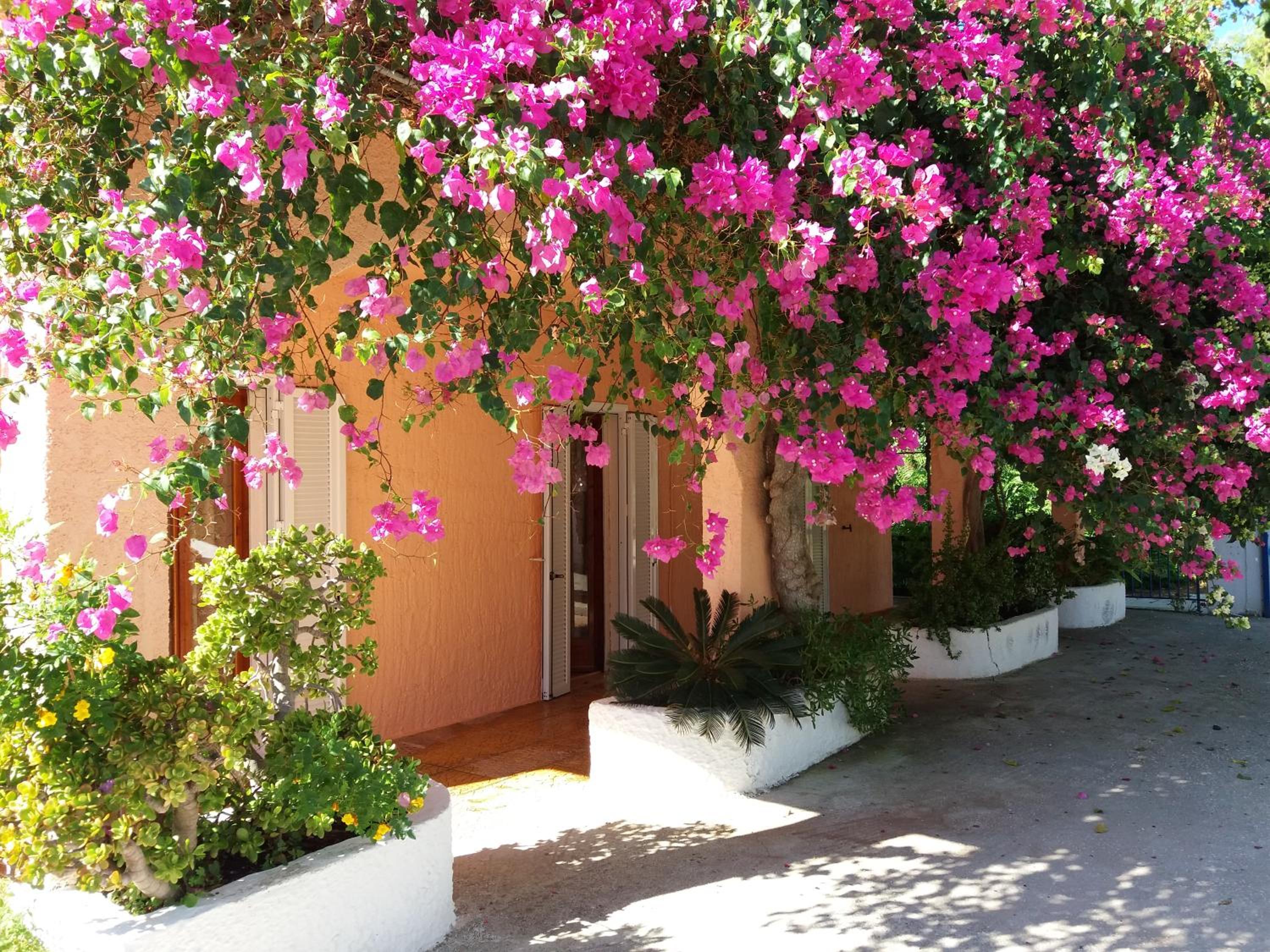 Constantinos Apartments photo 3