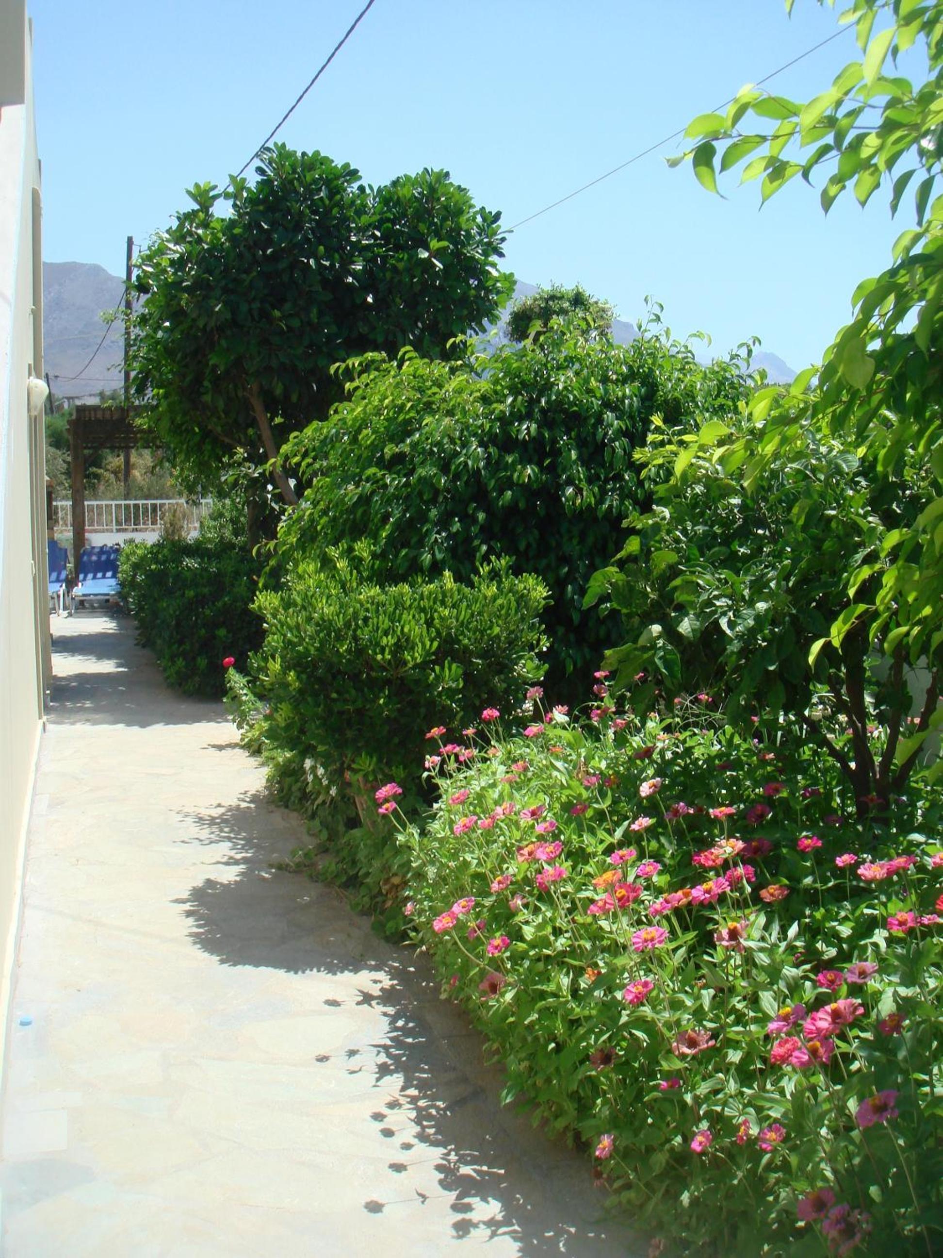 Photo 20