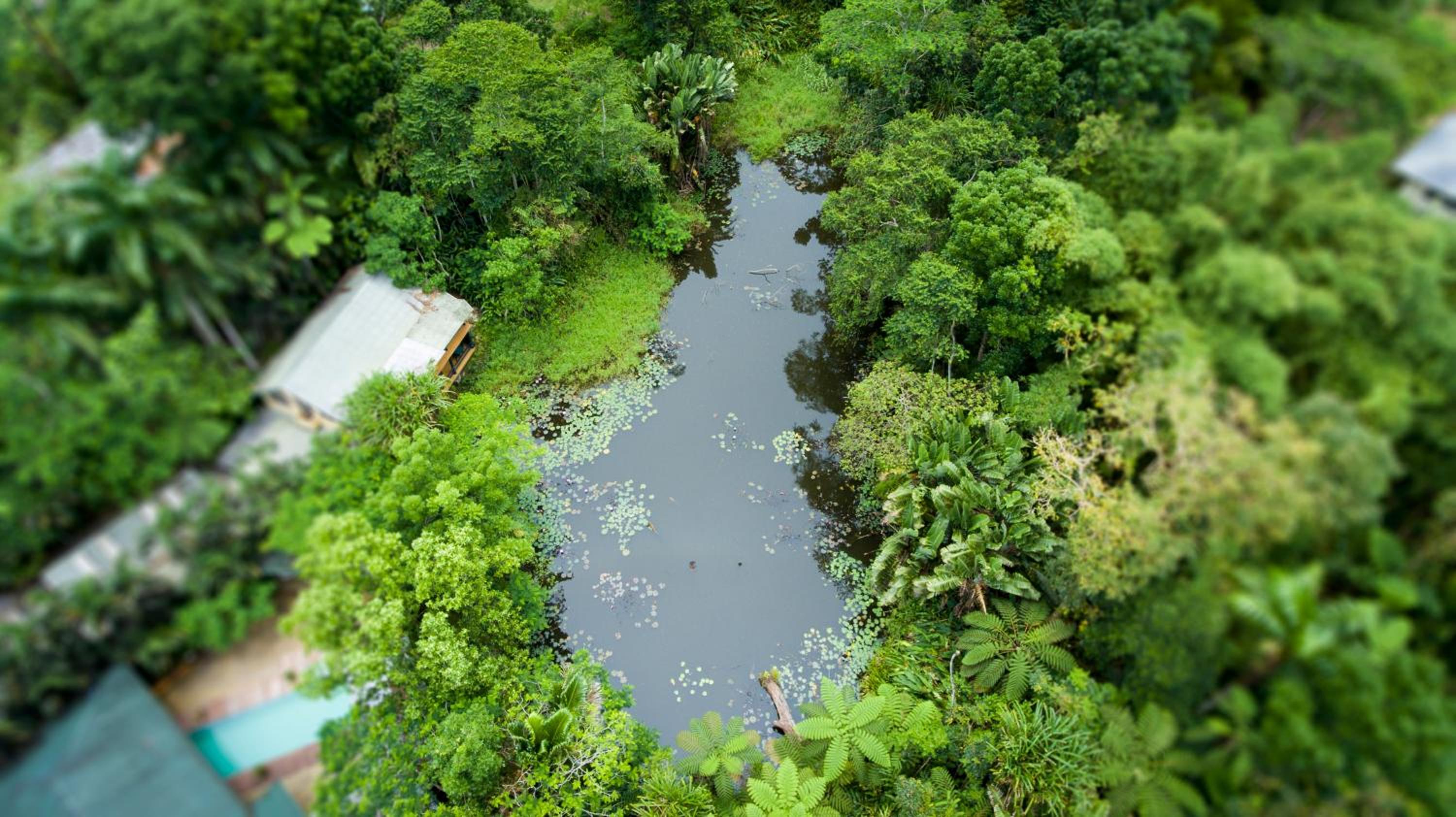 Rainforest Eco Lodge