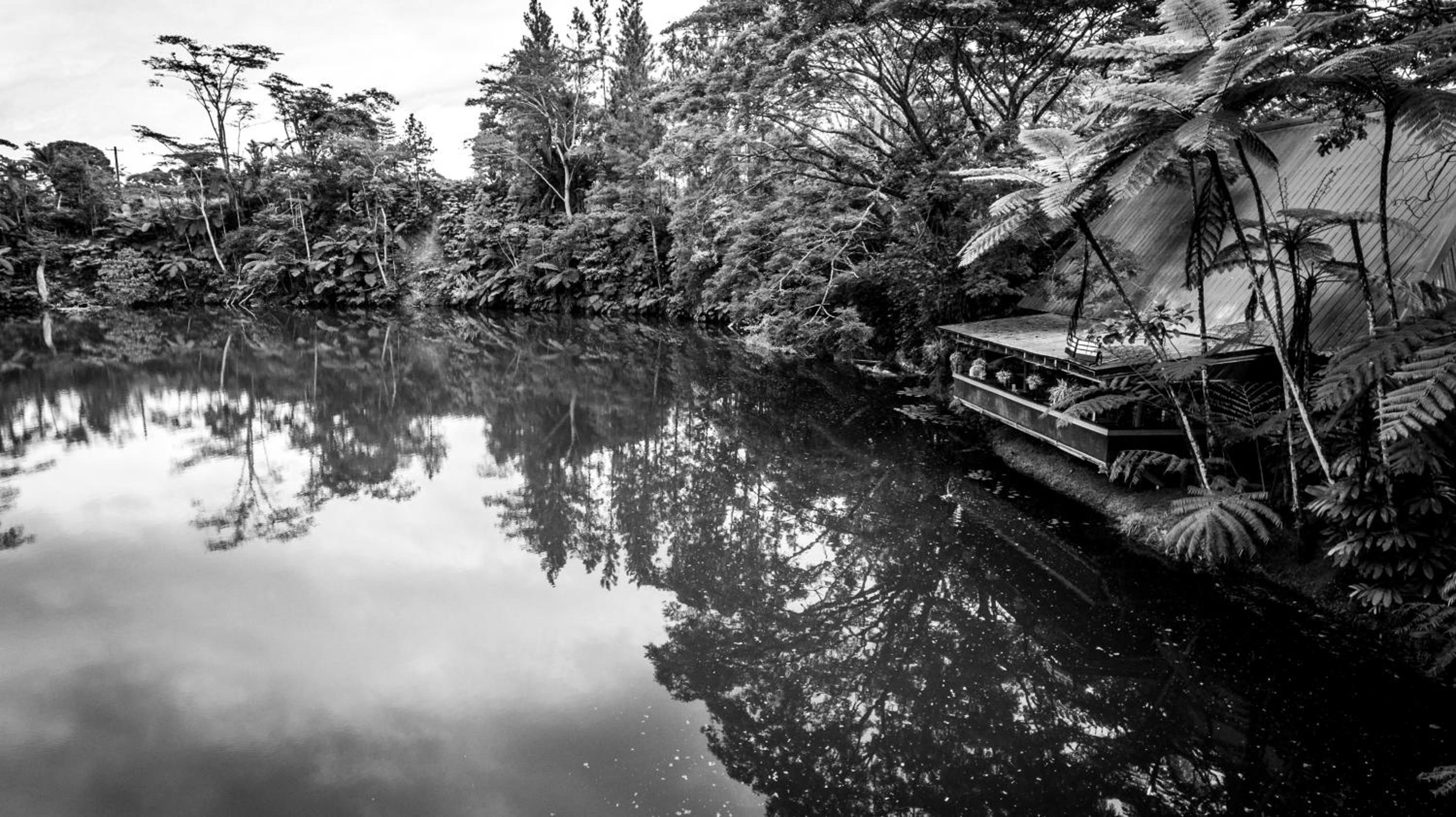 Rainforest Eco Lodge