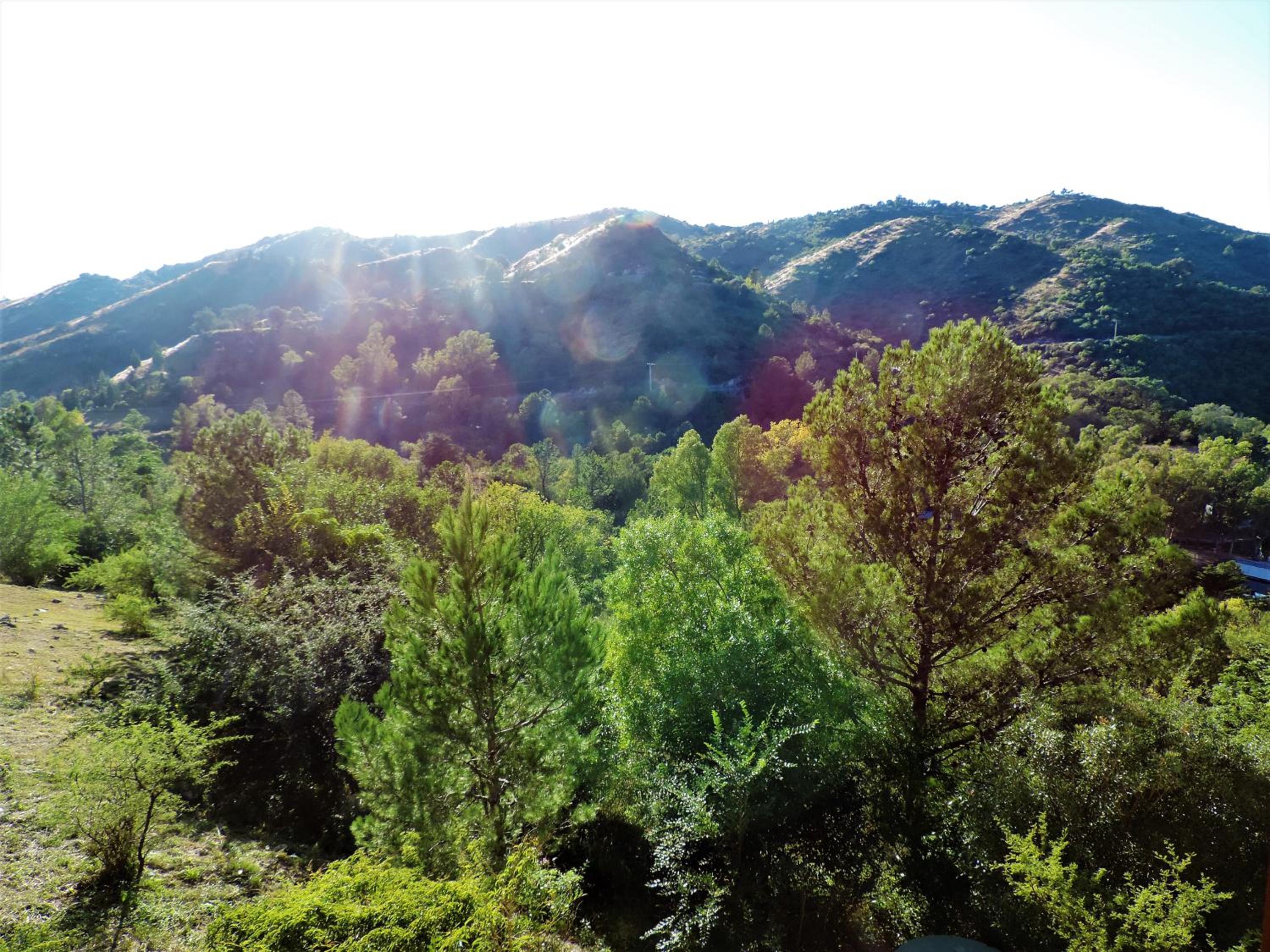 Peperina Lago Los Molinos
