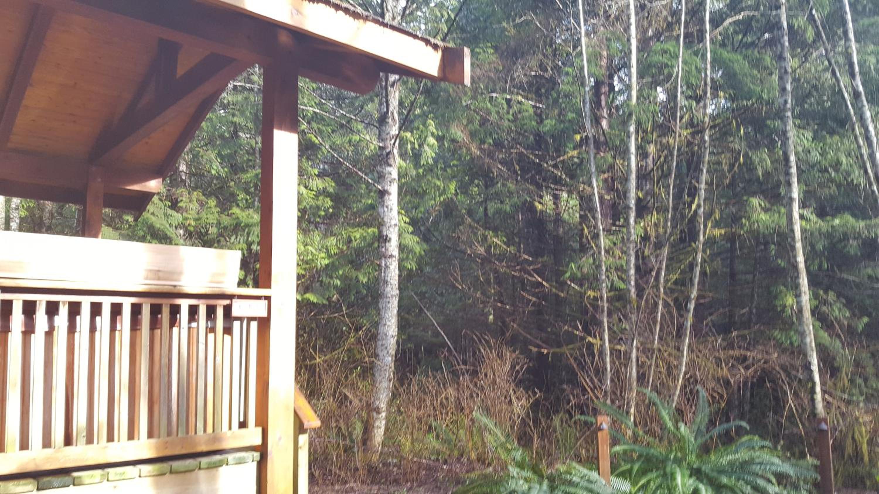 Evergreen Forest Cabins