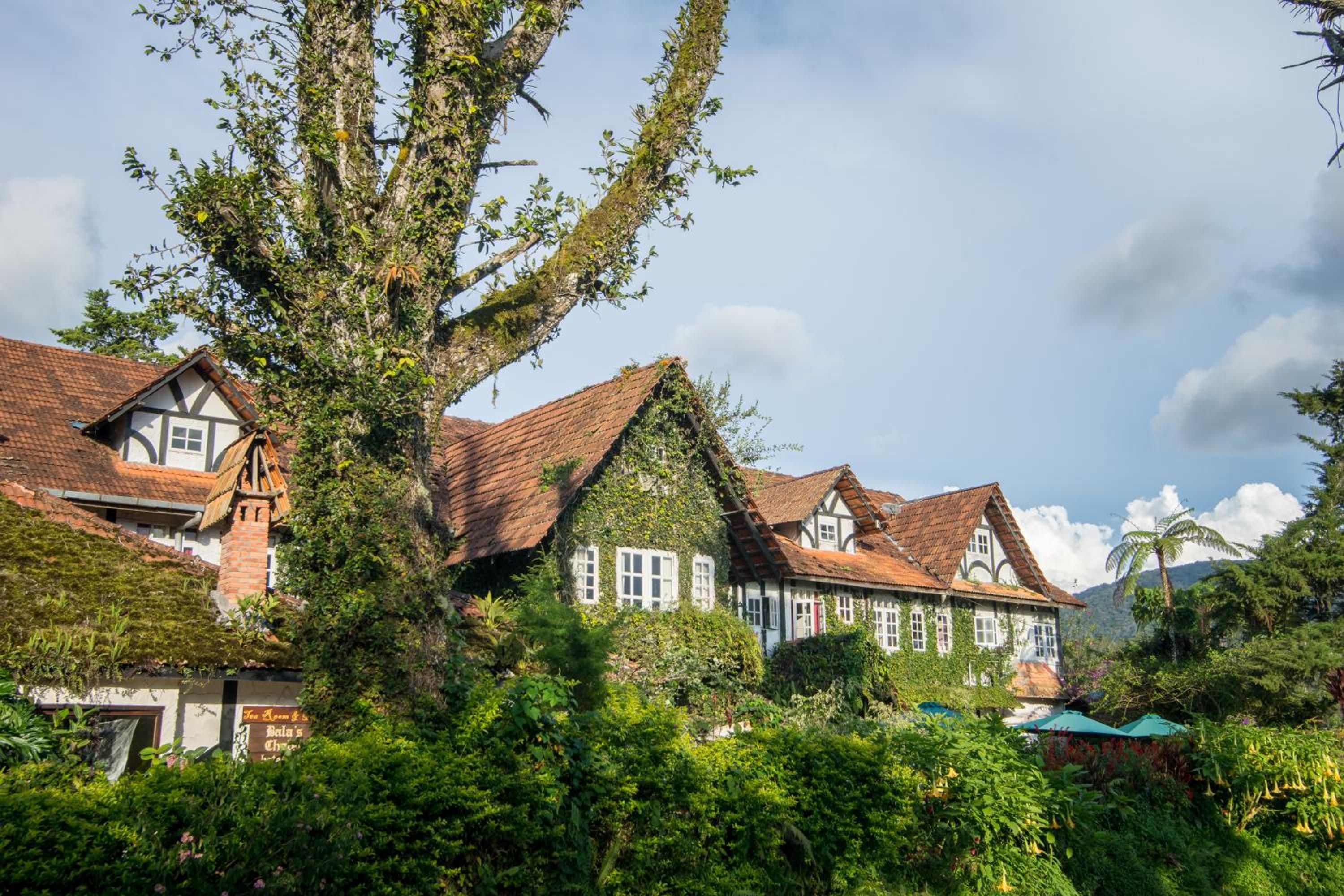 The Bala's Holiday Chalet — photo 18
