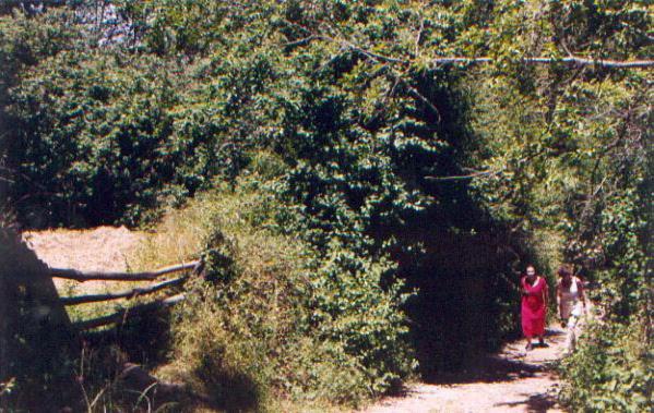 Photo 72