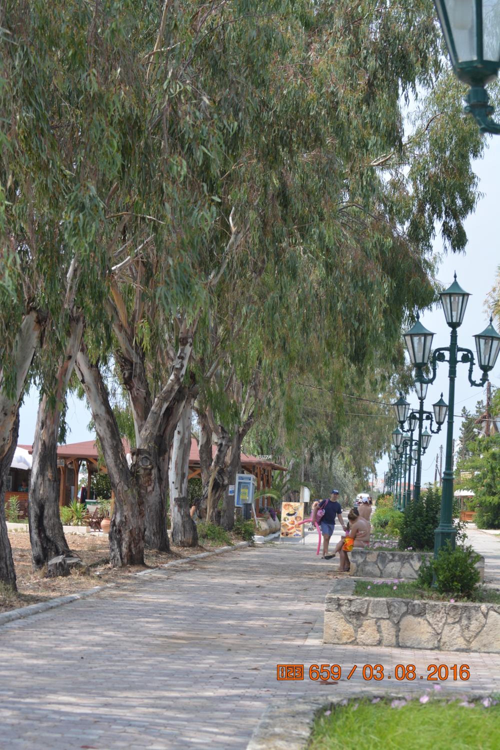 Apartments Dimitra
