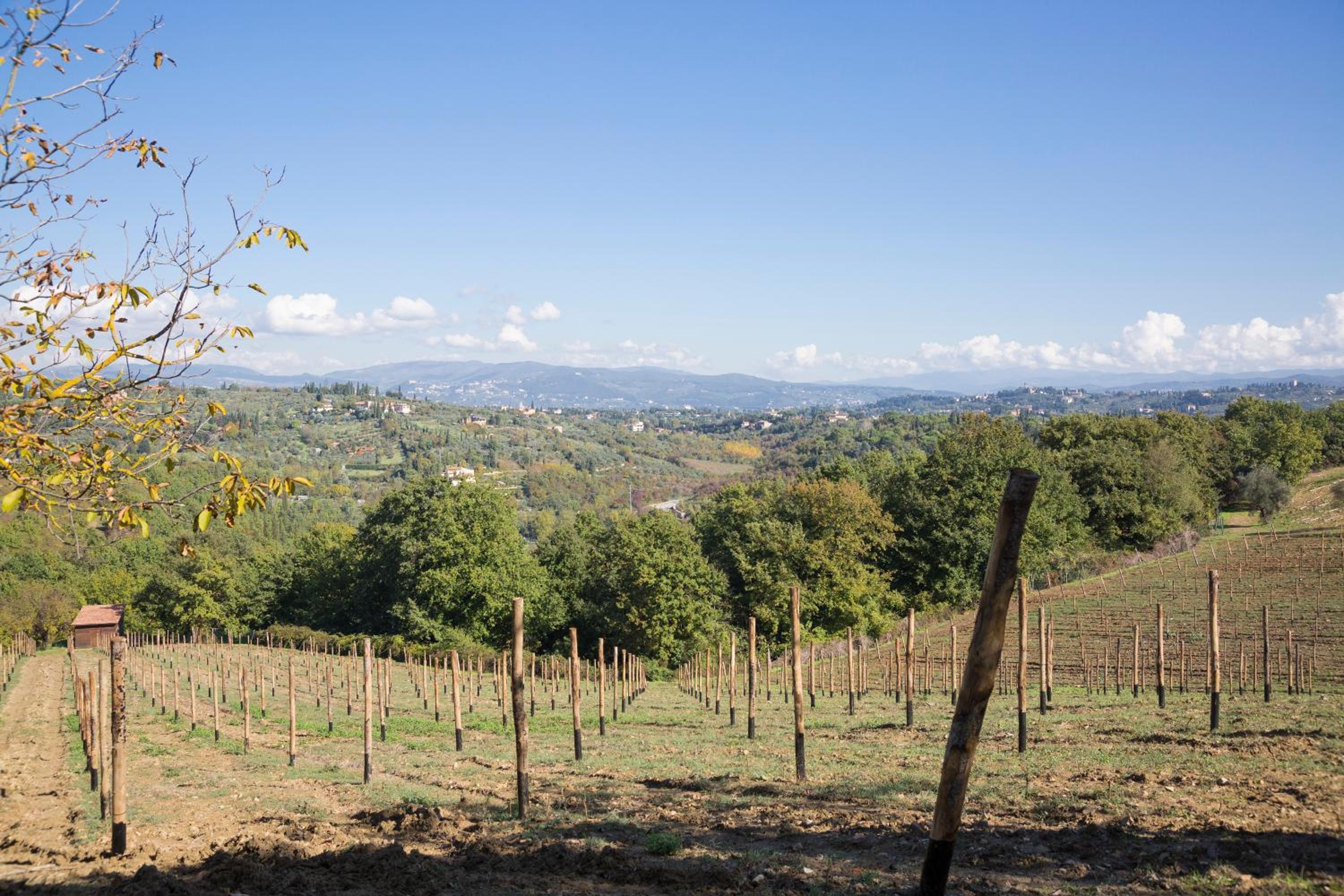 Fattoria Il Milione Agriturismo