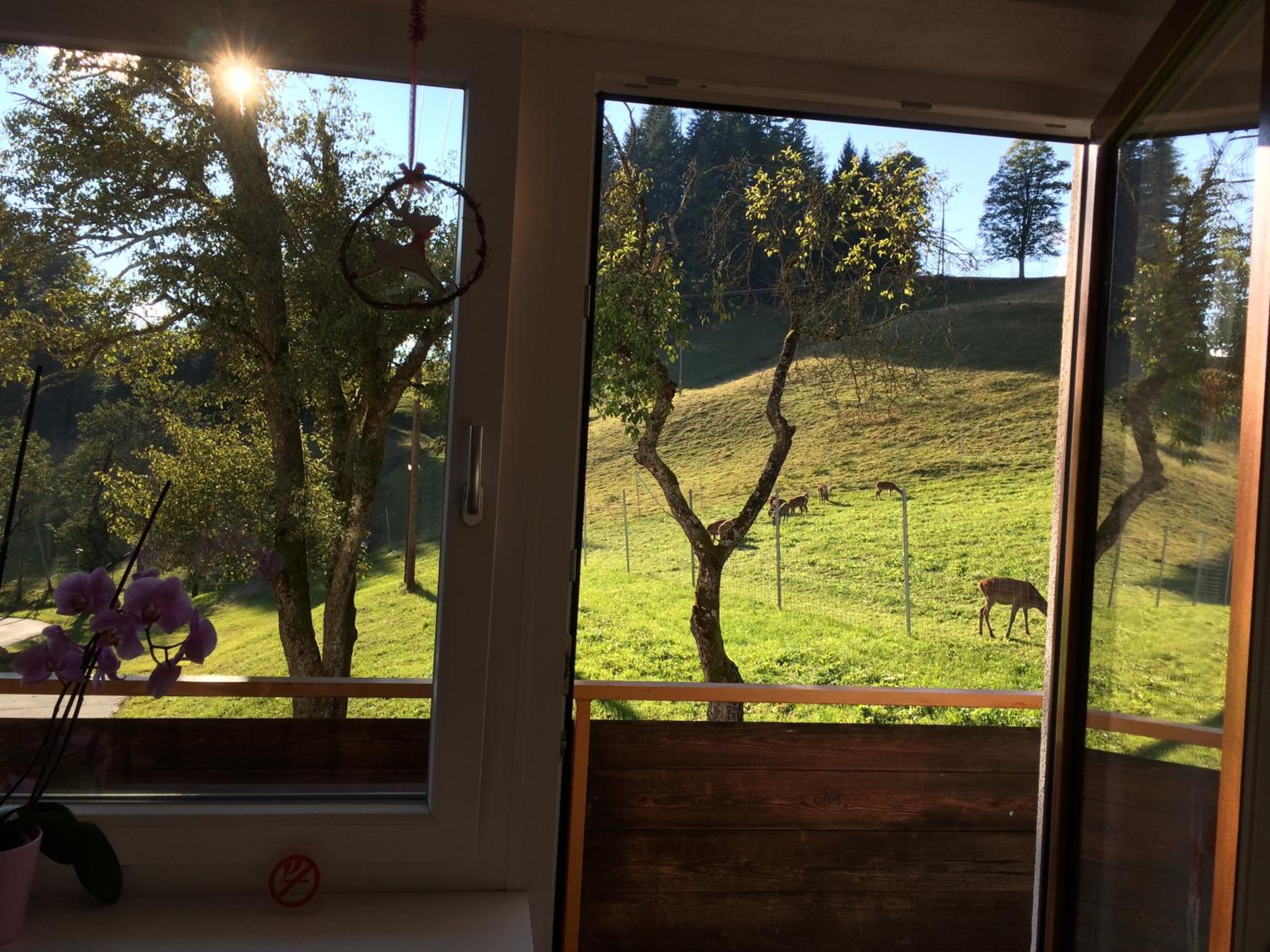 Berghof Haselsberger Appartements