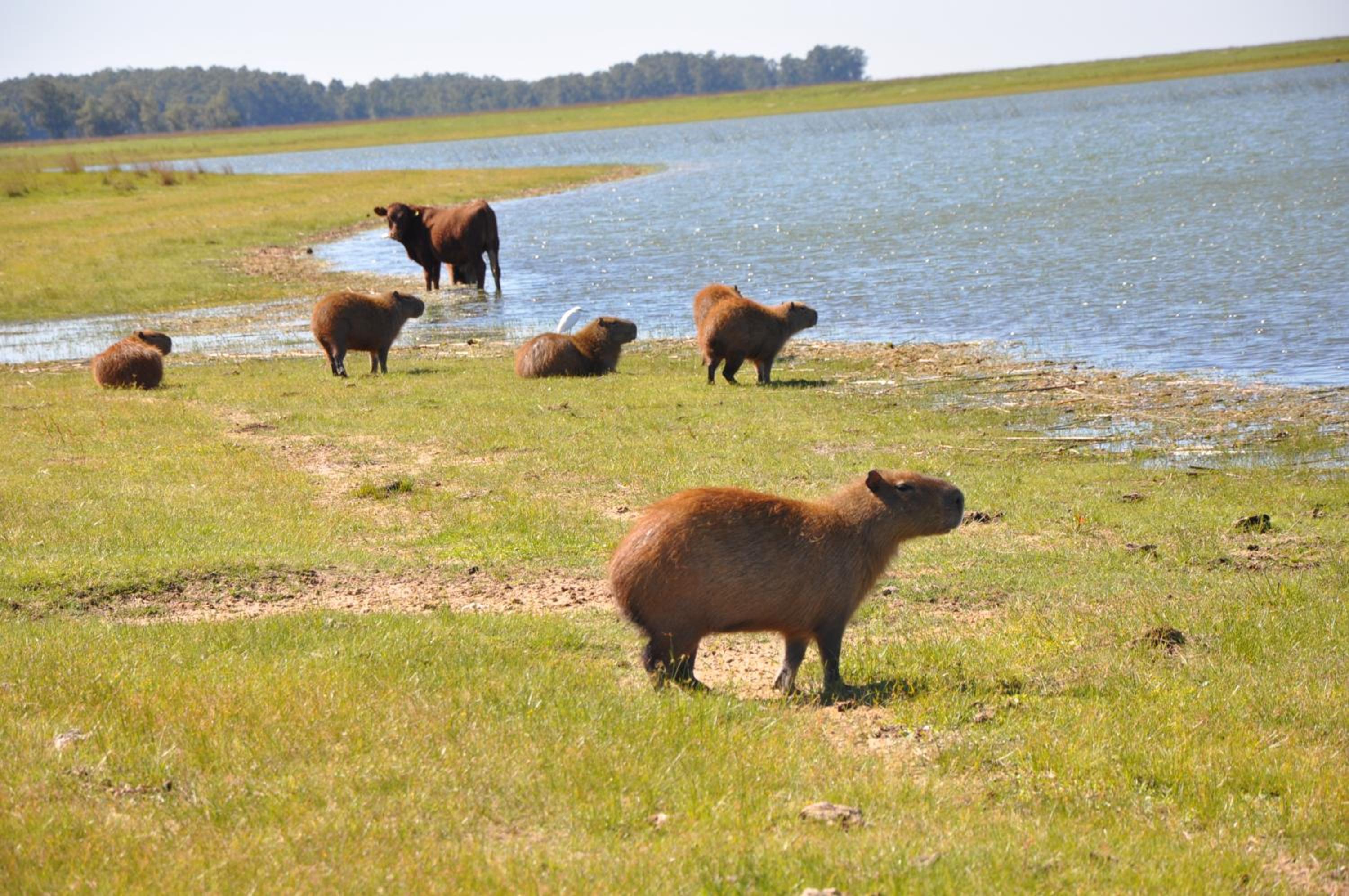 Estancia Don Joaquín Argentina