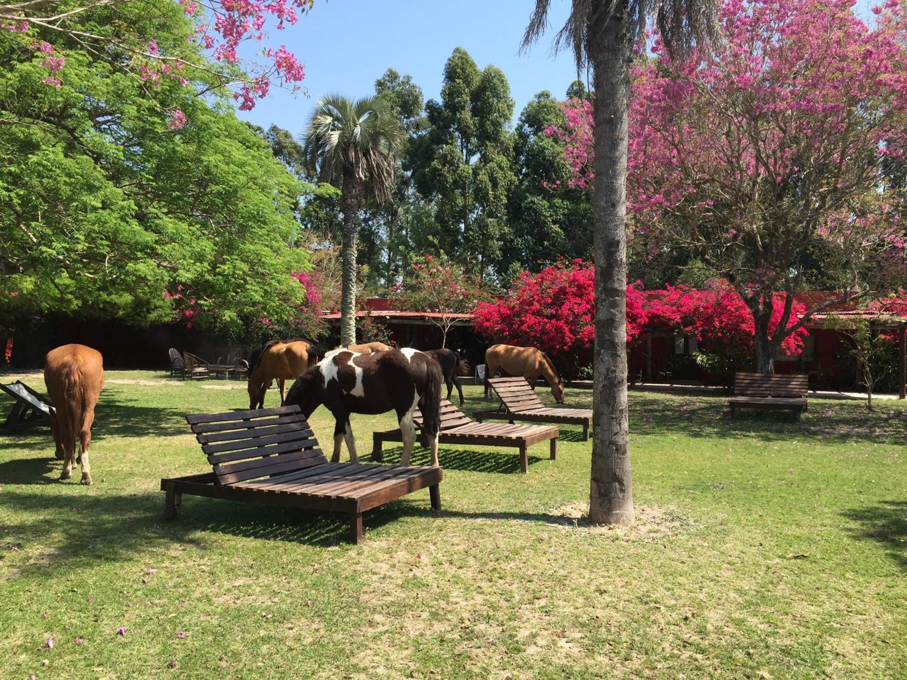 Estancia Don Joaquín Argentina