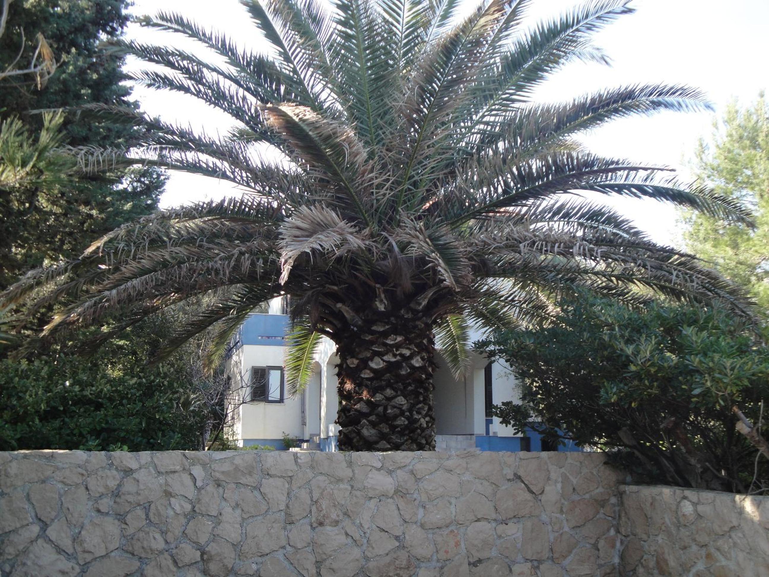 Holiday Home Mirna view 3