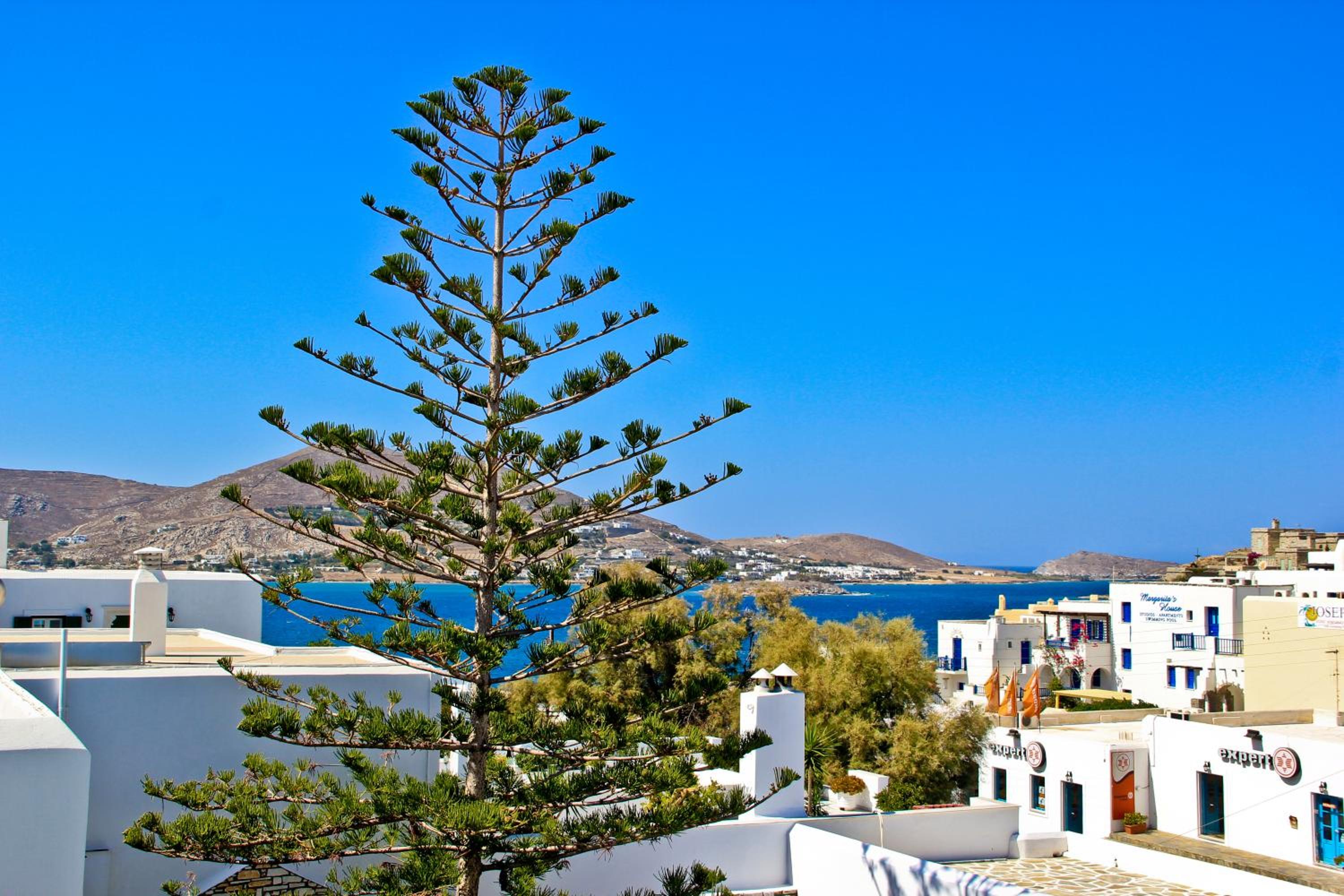 Alea Apartments