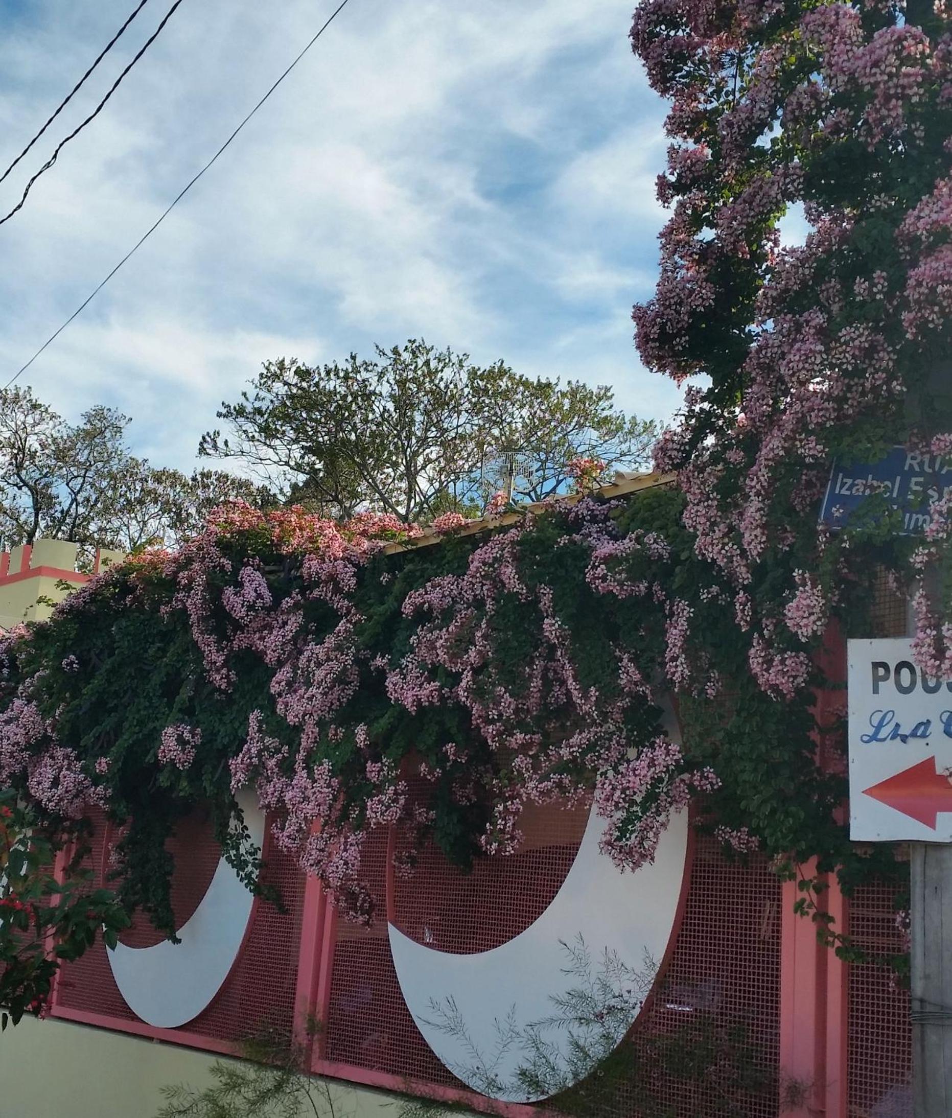 Pousada Lua Cheia, photo 62