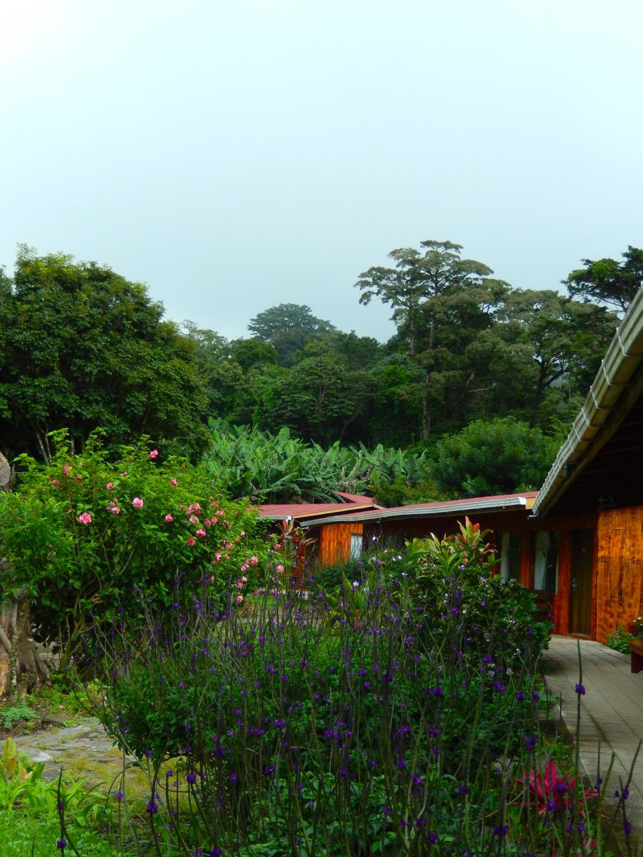 Elida Trails & Eco-Lodge