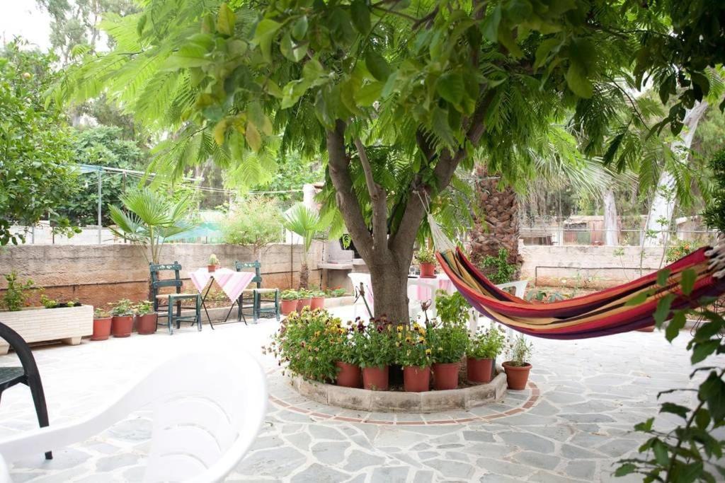 Veggie Garden Athens B&B