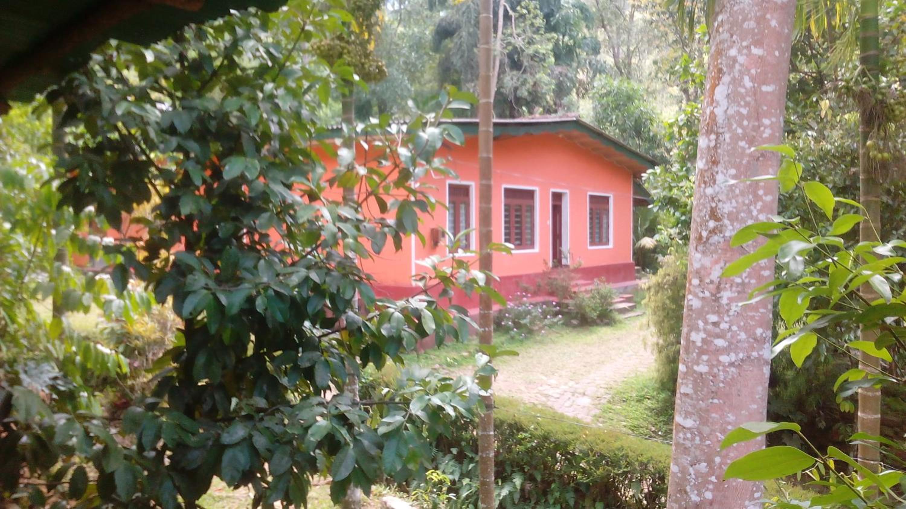 Photo 18
