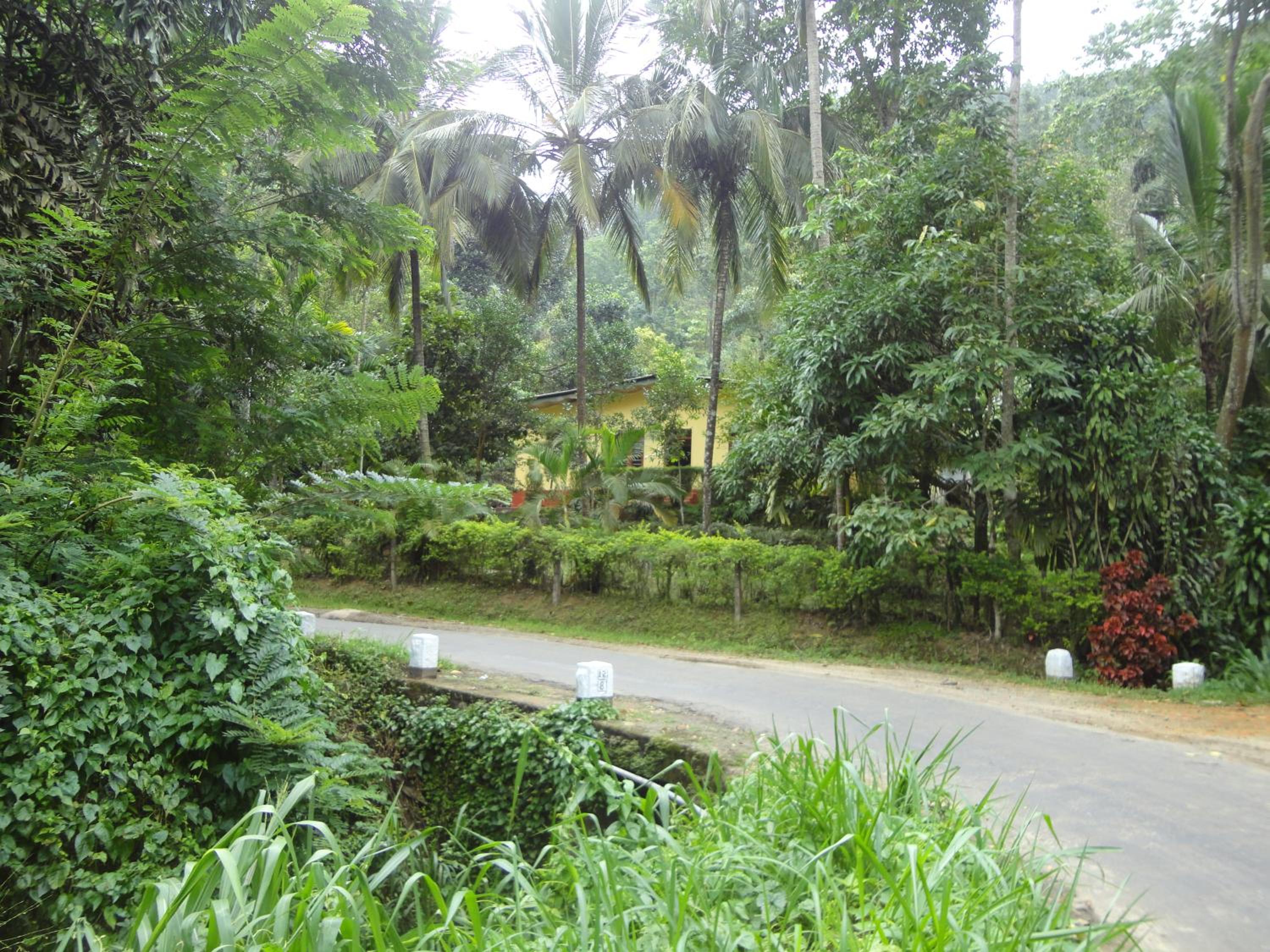 Photo 10