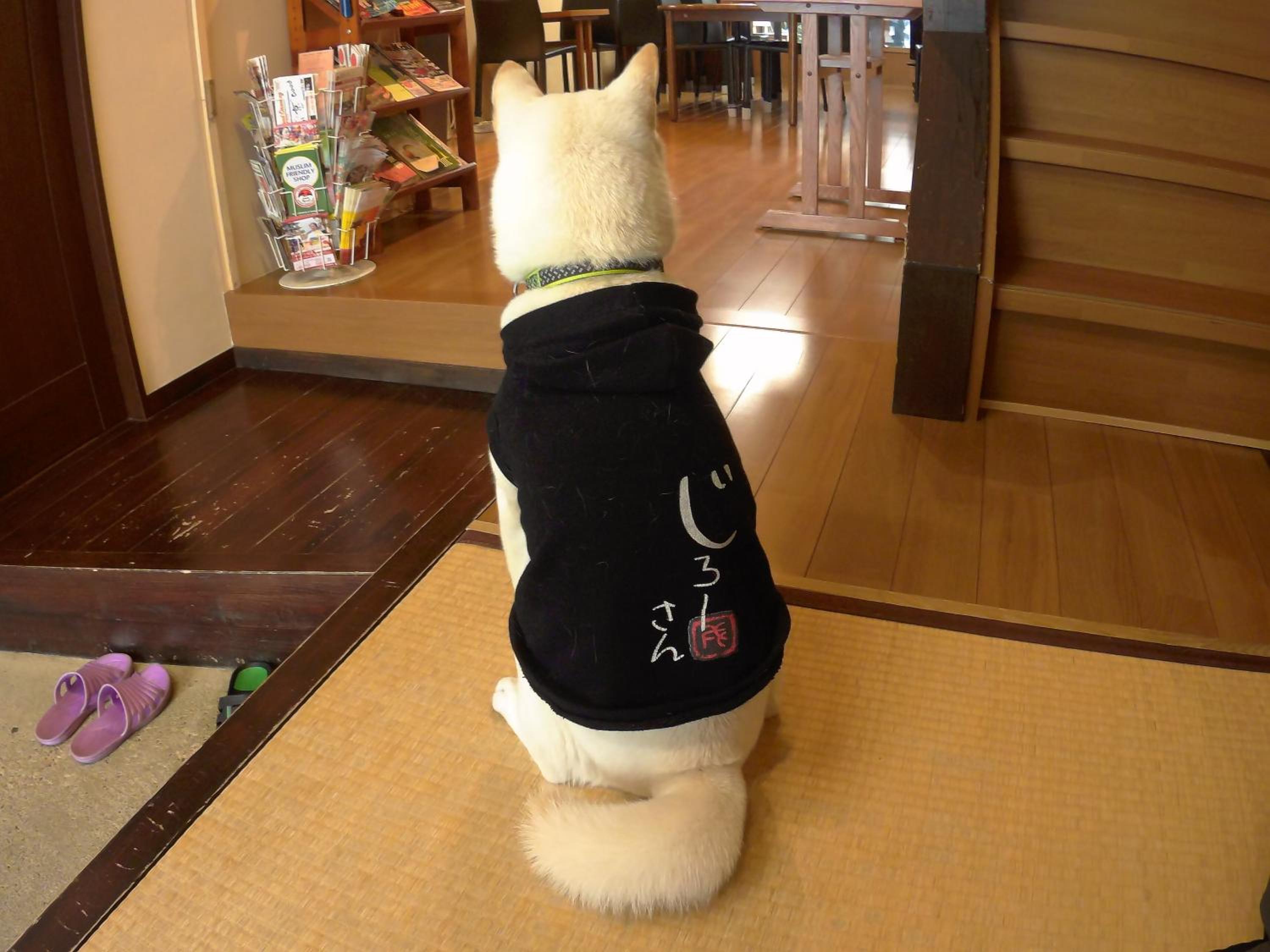 Guest House Ga-Jyun