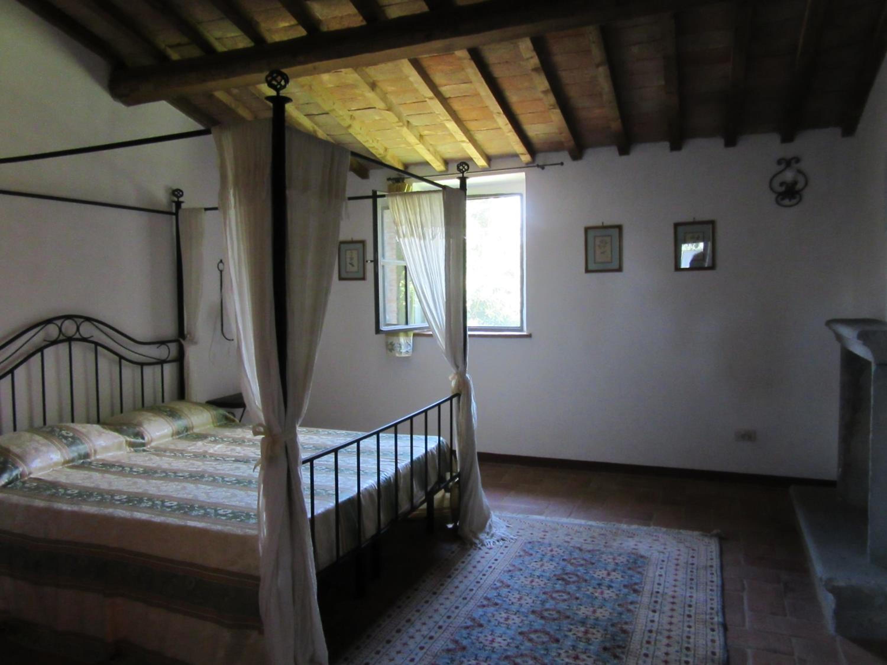 Photo 50