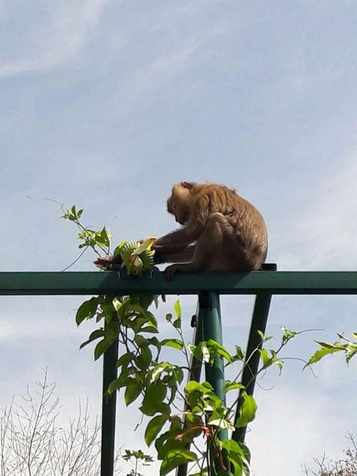 other